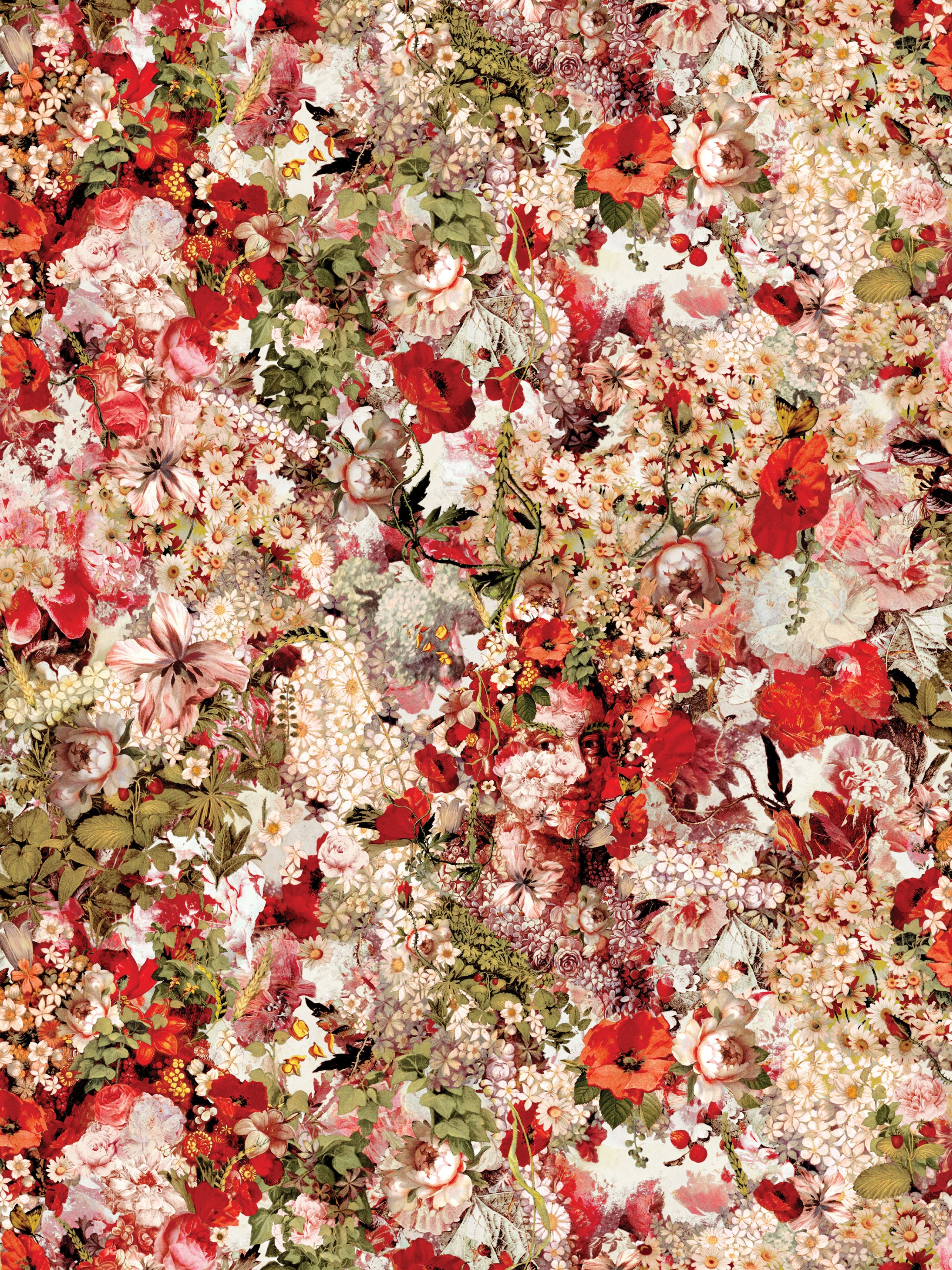 Celebration wallpaper in multico color - pattern number WH 000013330 - by Scalamandre in the collection