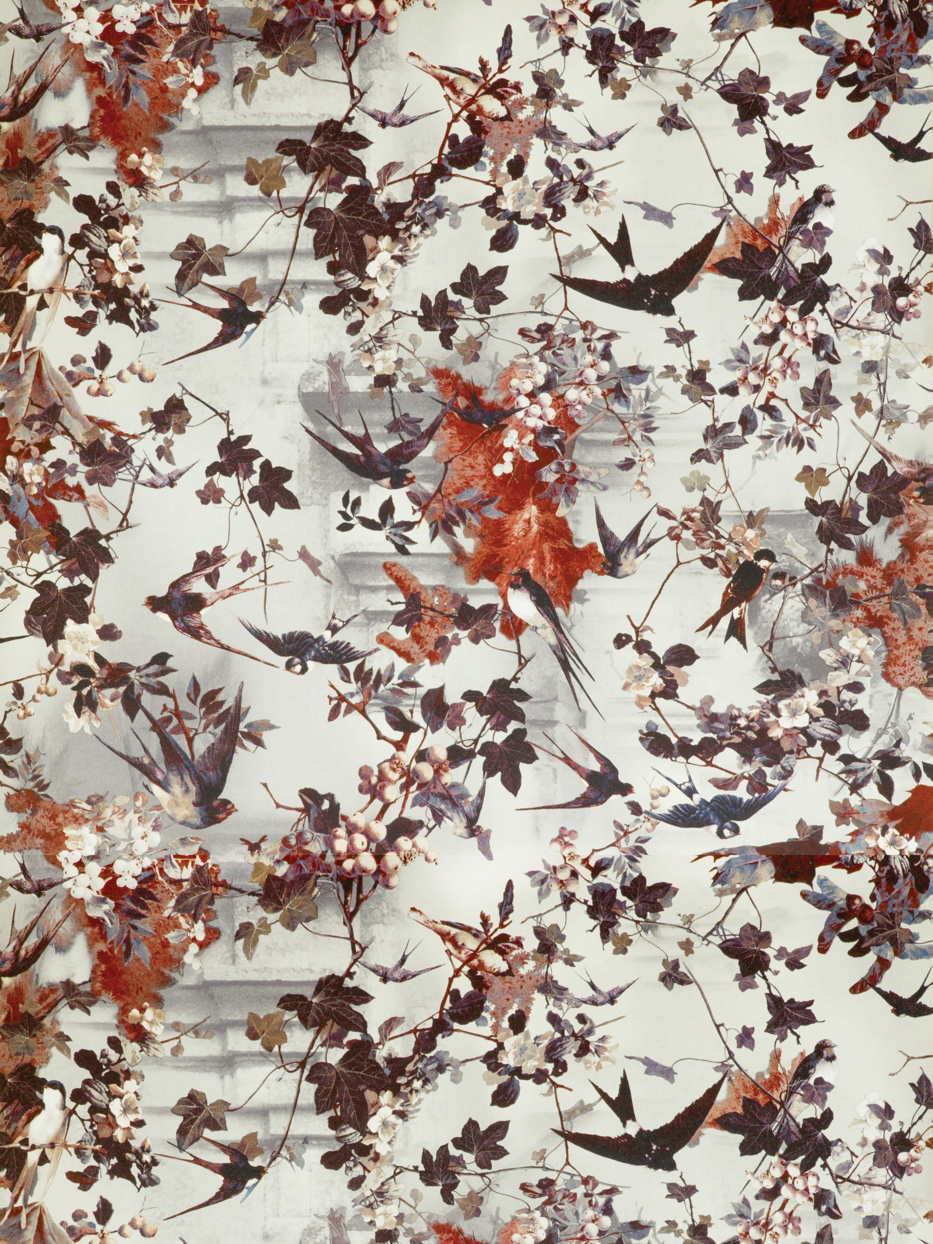 Hirondelles wallpaper in hiver color - pattern number WH 000043306 - by Scalamandre in the collection