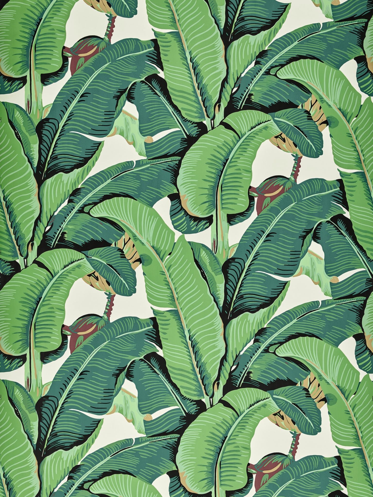 Hinson Palm Wide Width fabric in green color - pattern number WHN 000144000 - by Scalamandre in the collection