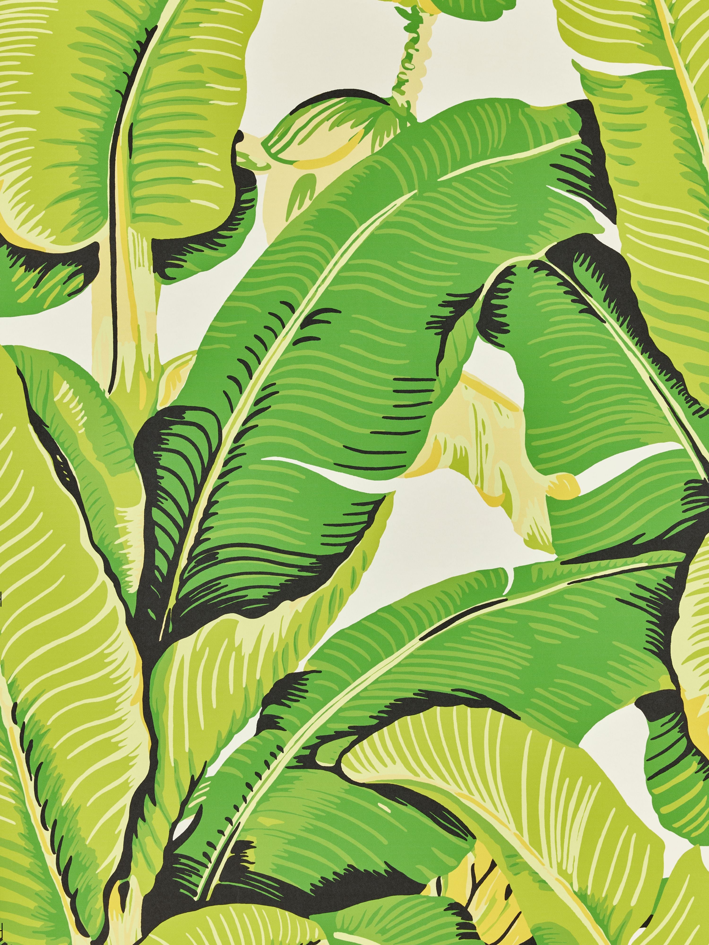 Hinson Palm wallpaper in mojito color - pattern number WHN 000144000M - by Scalamandre in the collection