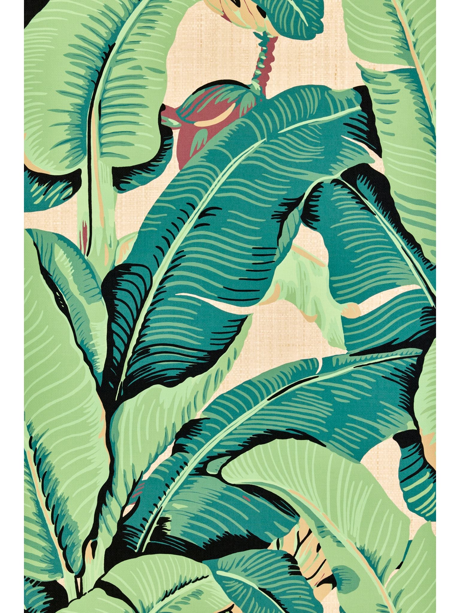 Hinson Palm Paperweave fabric in green on straw color - pattern number WHN 000144003 - by Scalamandre in the collection