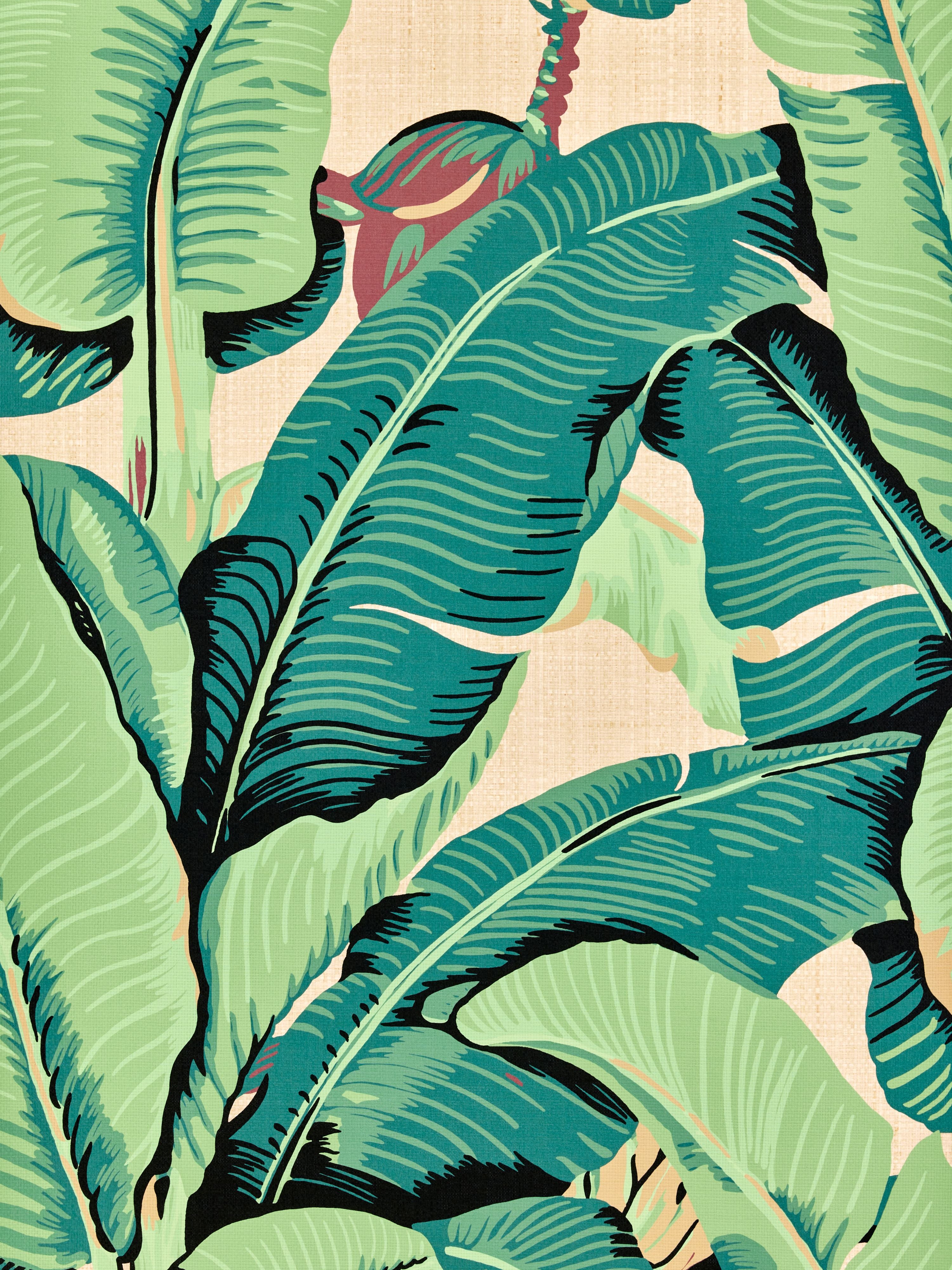 Hinson Palm Paperweave wallpaper in green on straw color - pattern number WHN 000144003 - by Scalamandre in the collection