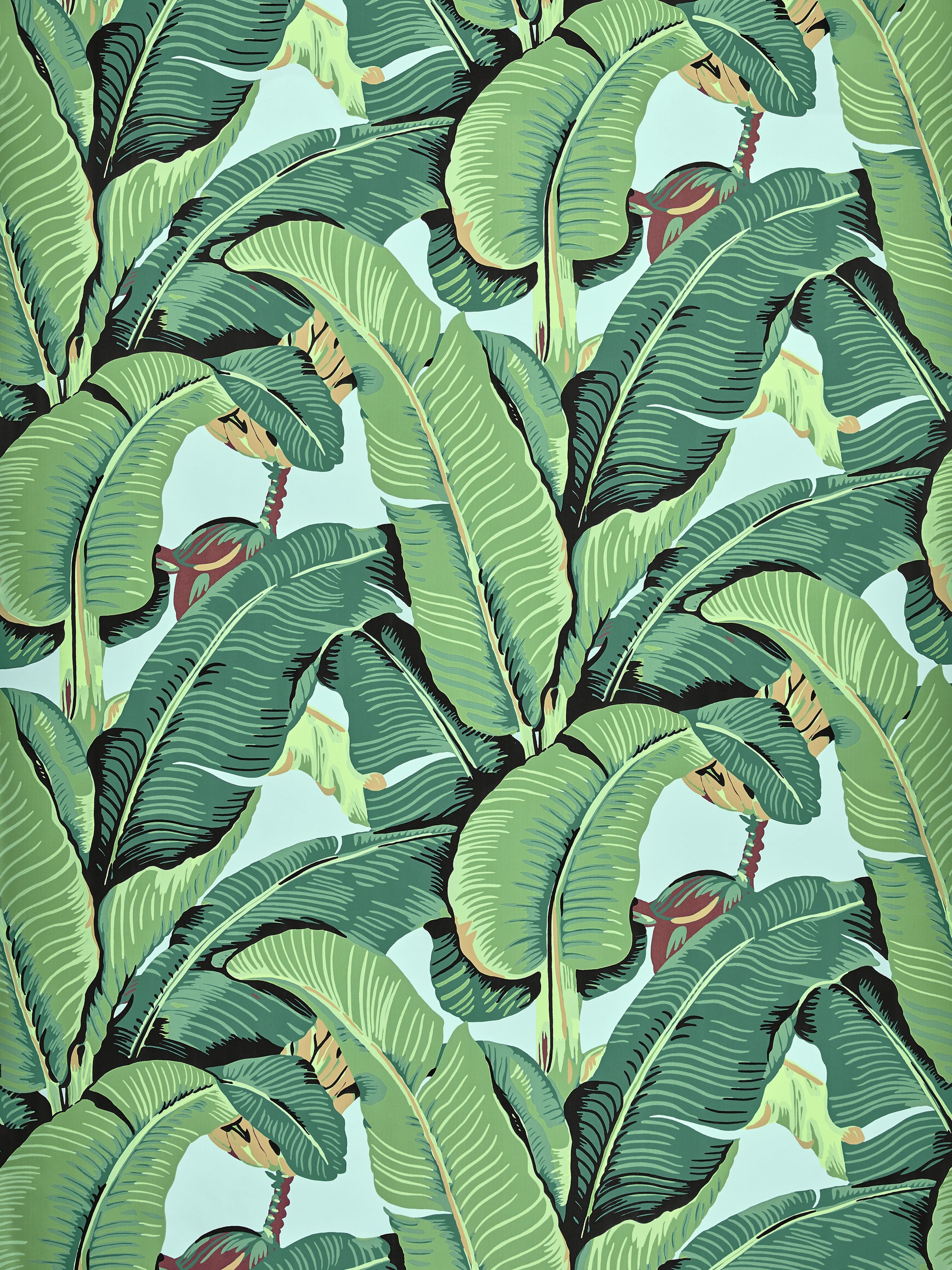 Hinson Palm Wide Width wallpaper in sky color - pattern number WHN 000244000 - by Scalamandre in the collection