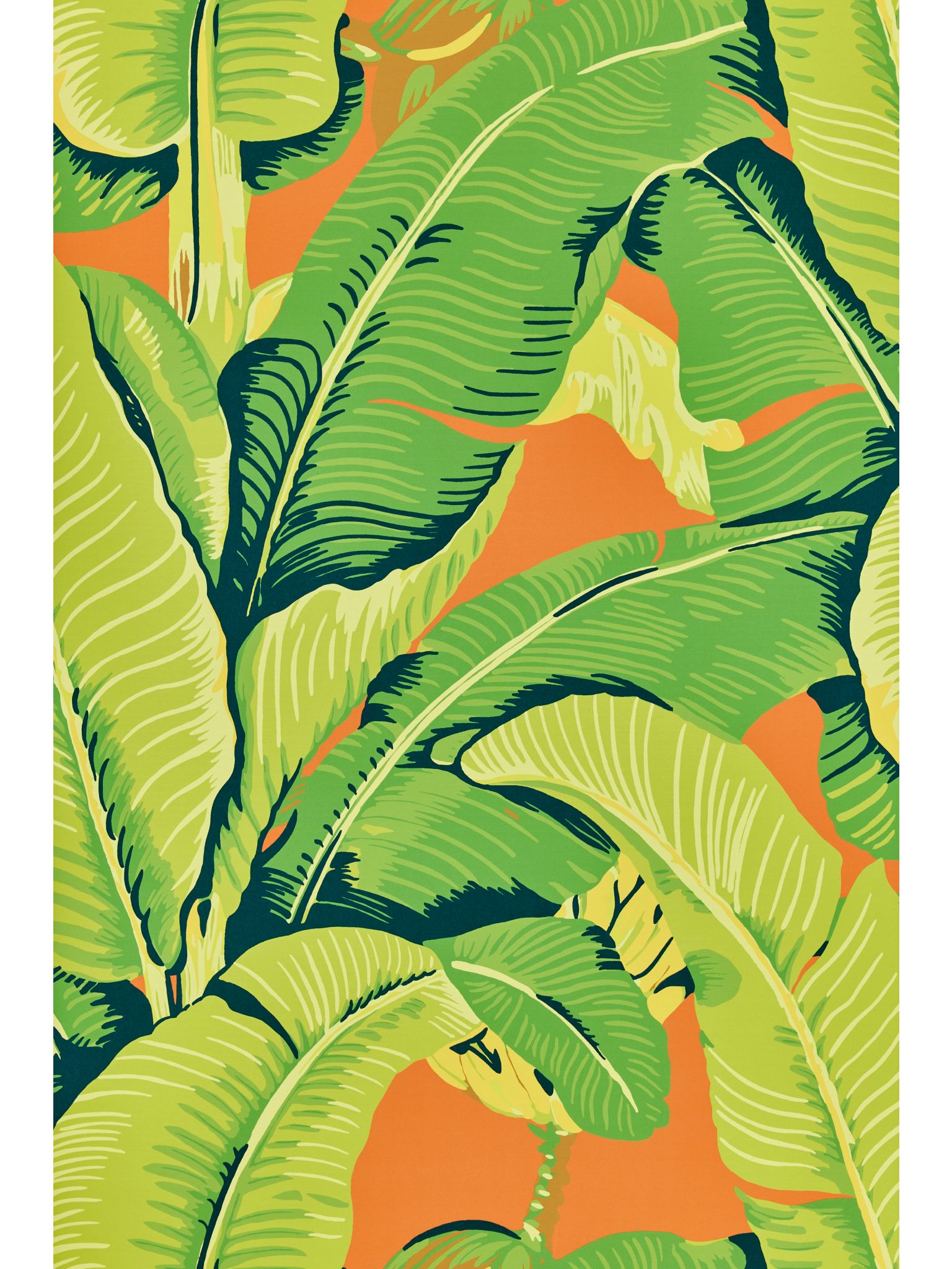 Hinson Palm fabric in aperol spritz color - pattern number WHN 000244000M - by Scalamandre in the  collection