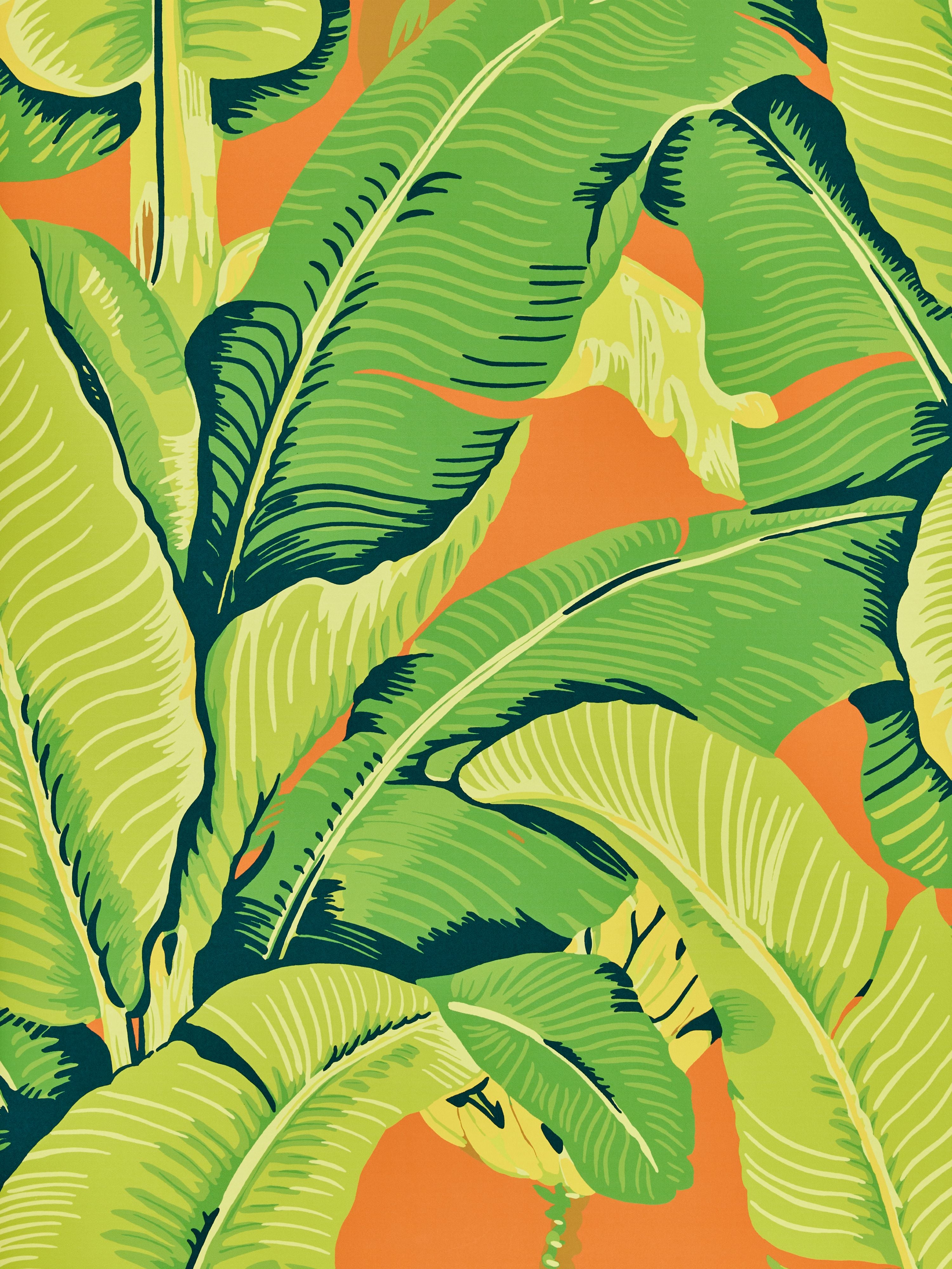 Hinson Palm wallpaper in aperol spritz color - pattern number WHN 000244000M - by Scalamandre in the collection