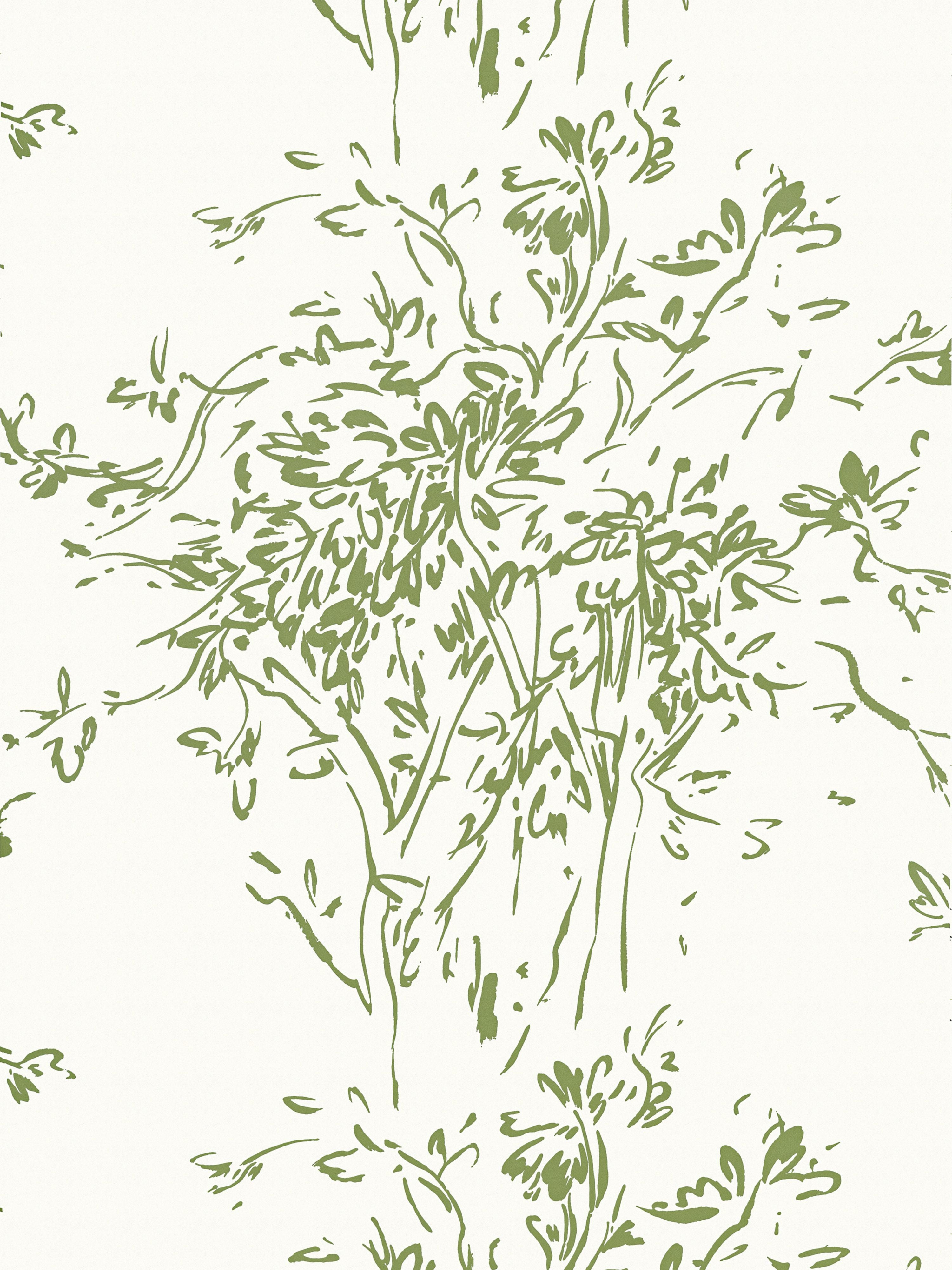 Kurt wallpaper in olive color - pattern number WHN WP88594D0003 - by Scalamandre in the collection