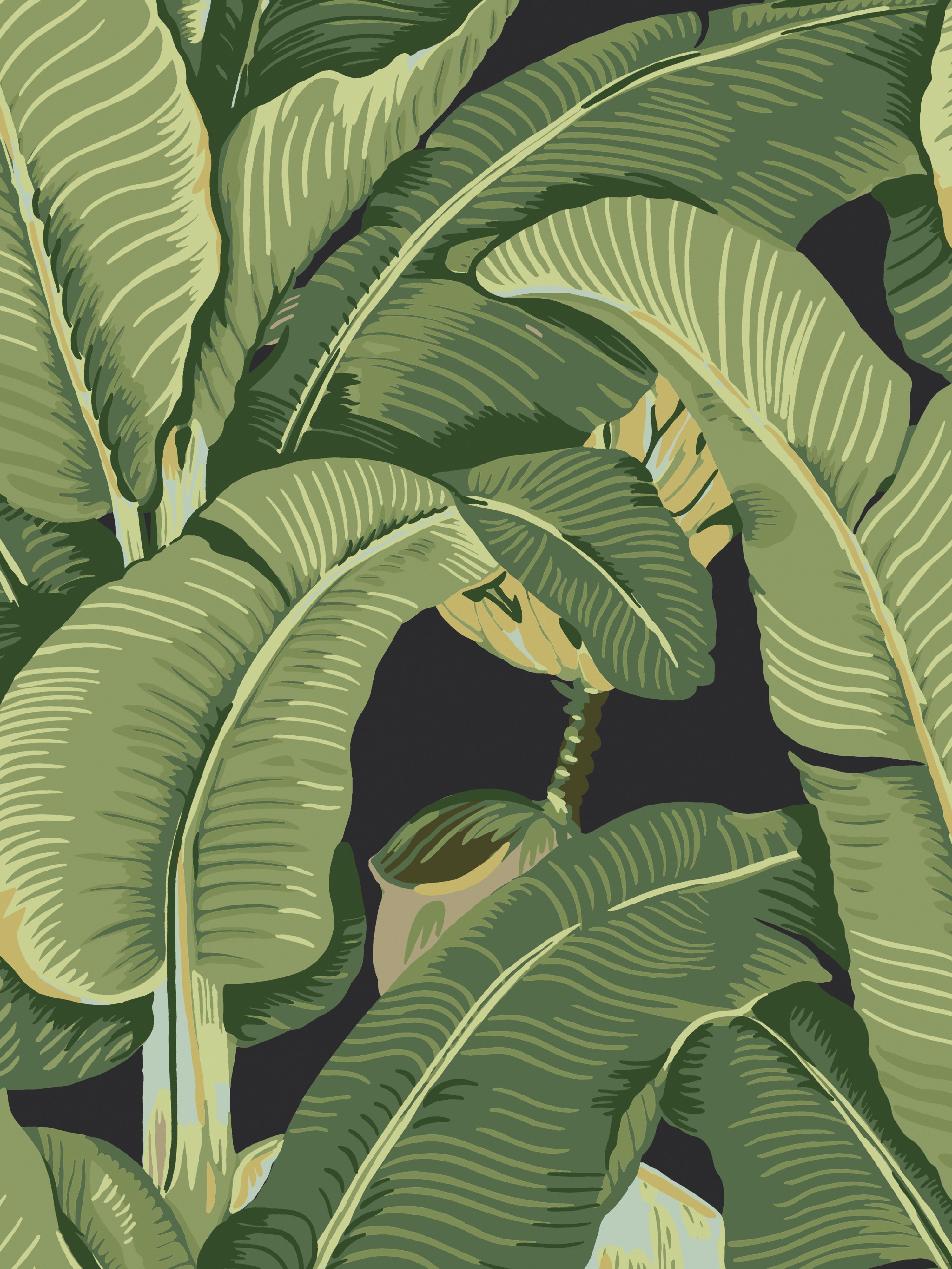 Hinson Palm wallpaper in absinthe color - pattern number WHN 000444000MD - by Scalamandre in the collection