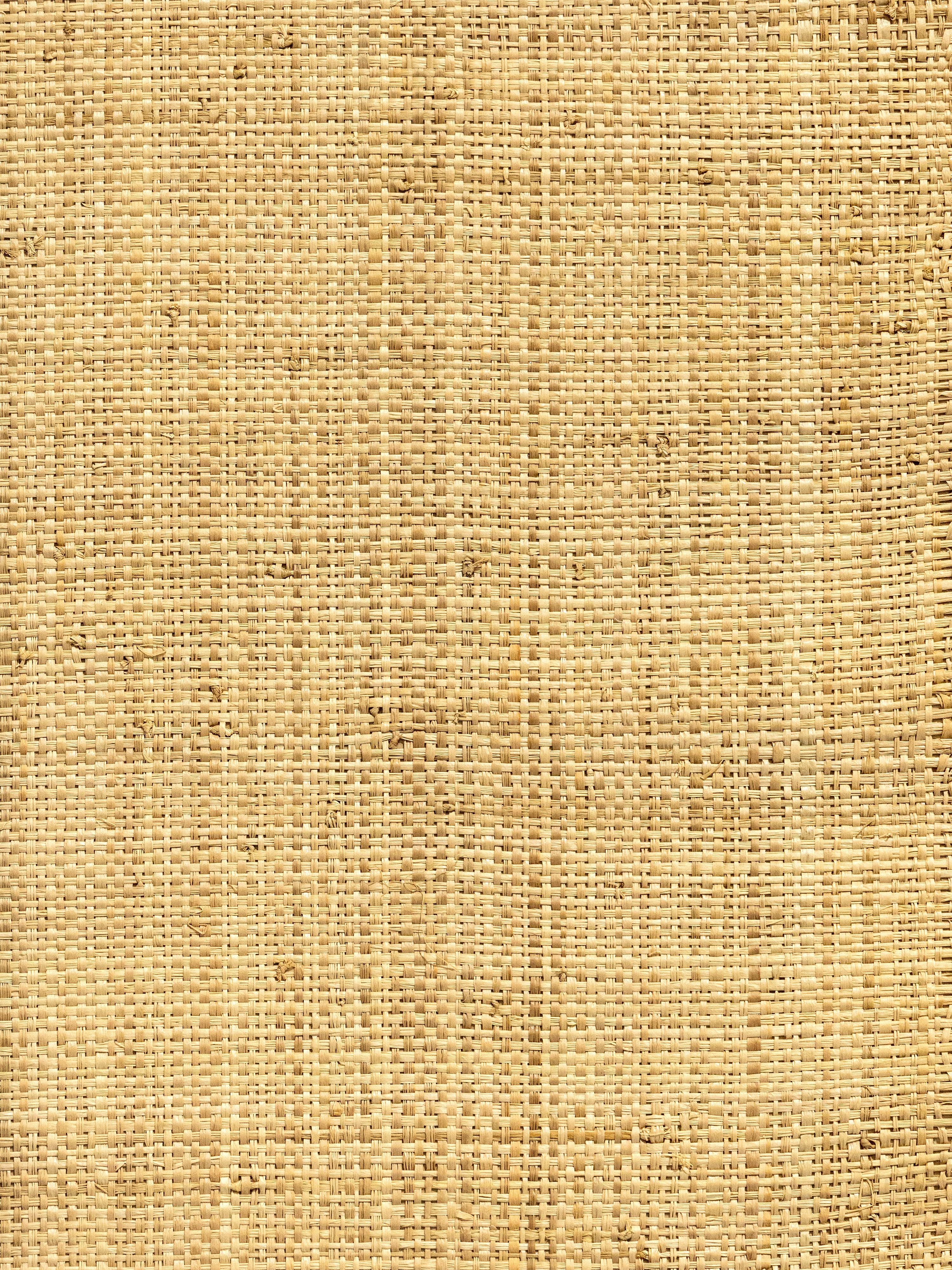 Hinson Madagascar Coarse wallpaper in natural color - pattern number WHN 00ABY0390 - by Scalamandre in the collection
