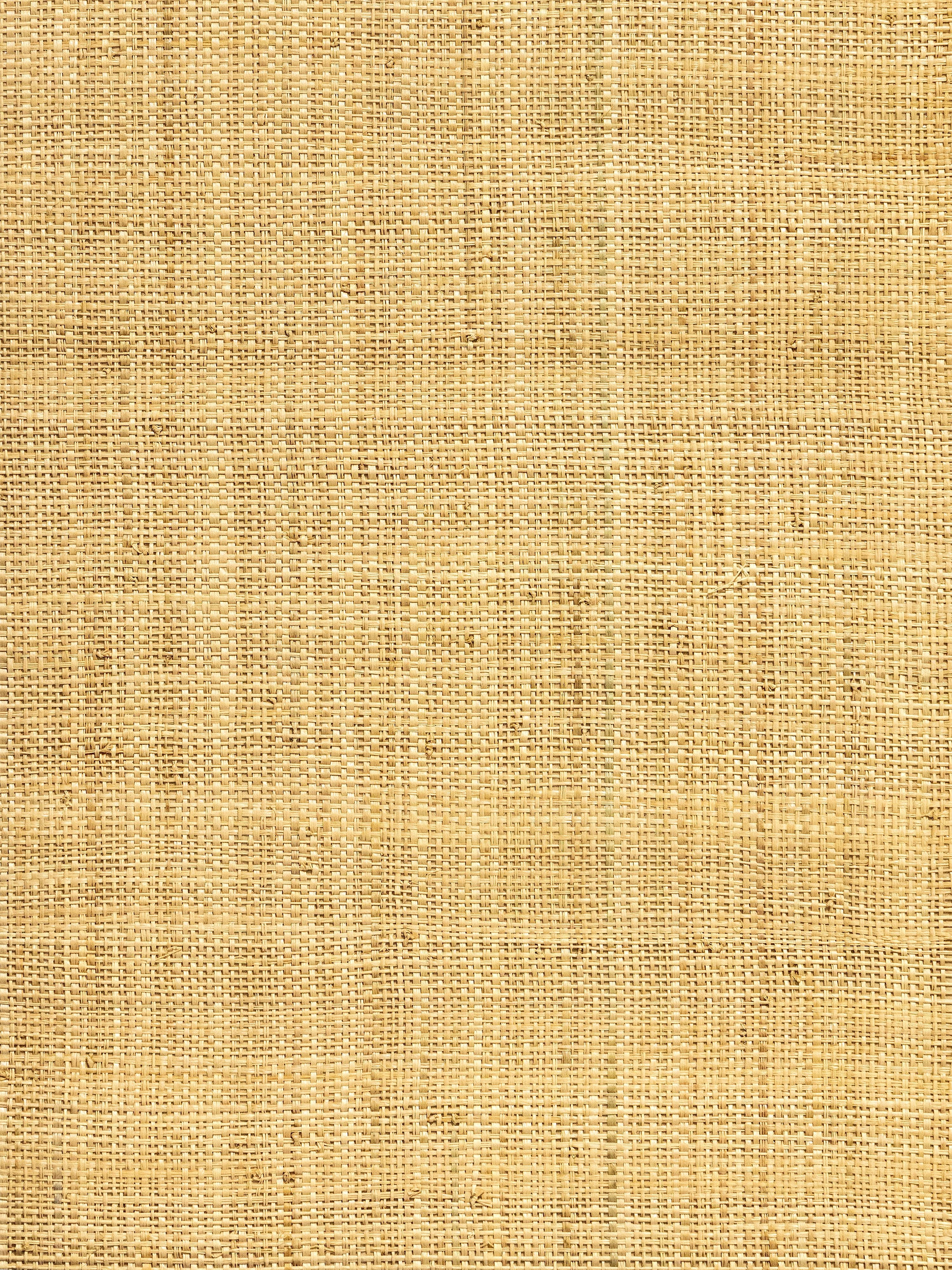 Hinson Madagascar Fine wallpaper in natural color - pattern number WHN 00ABY0391 - by Scalamandre in the collection