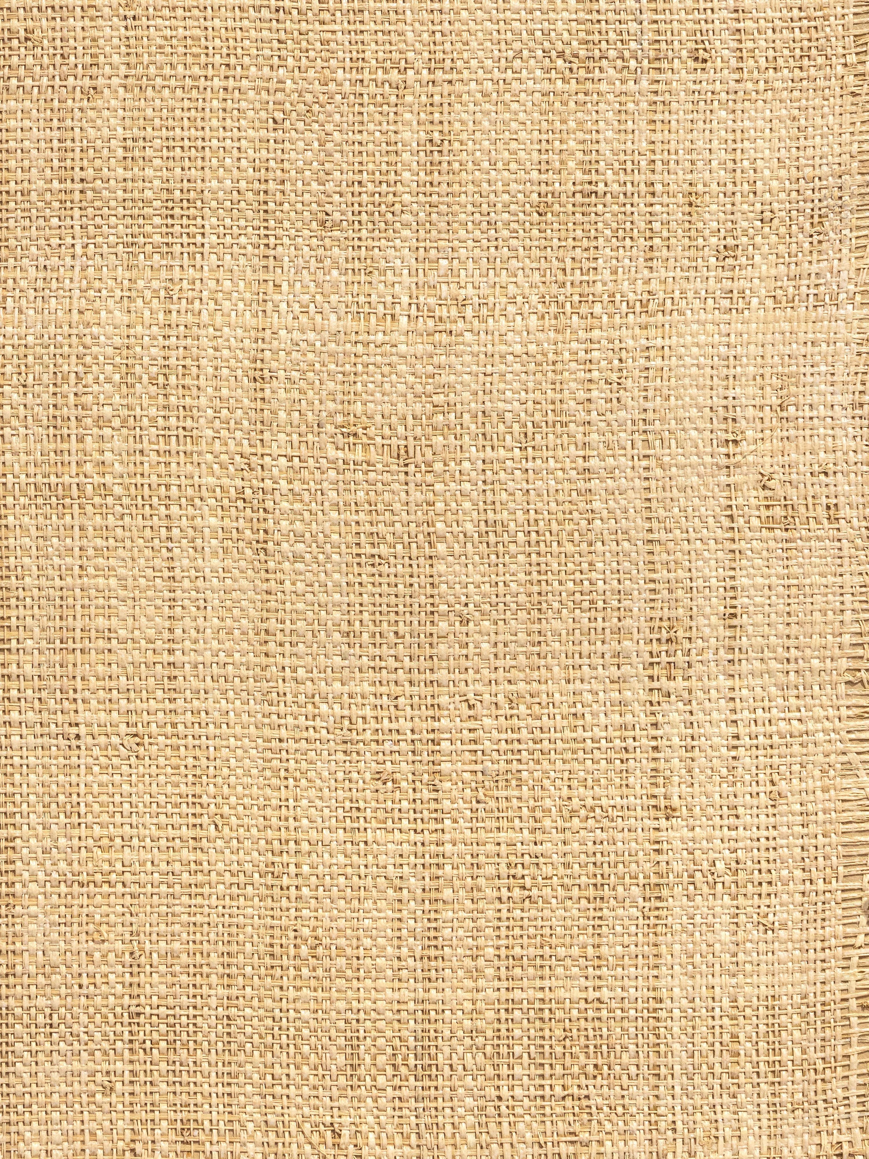 Hinson Madagascar Coarse wallpaper in whitewashed color - pattern number WHN 00WBY0390 - by Scalamandre in the collection