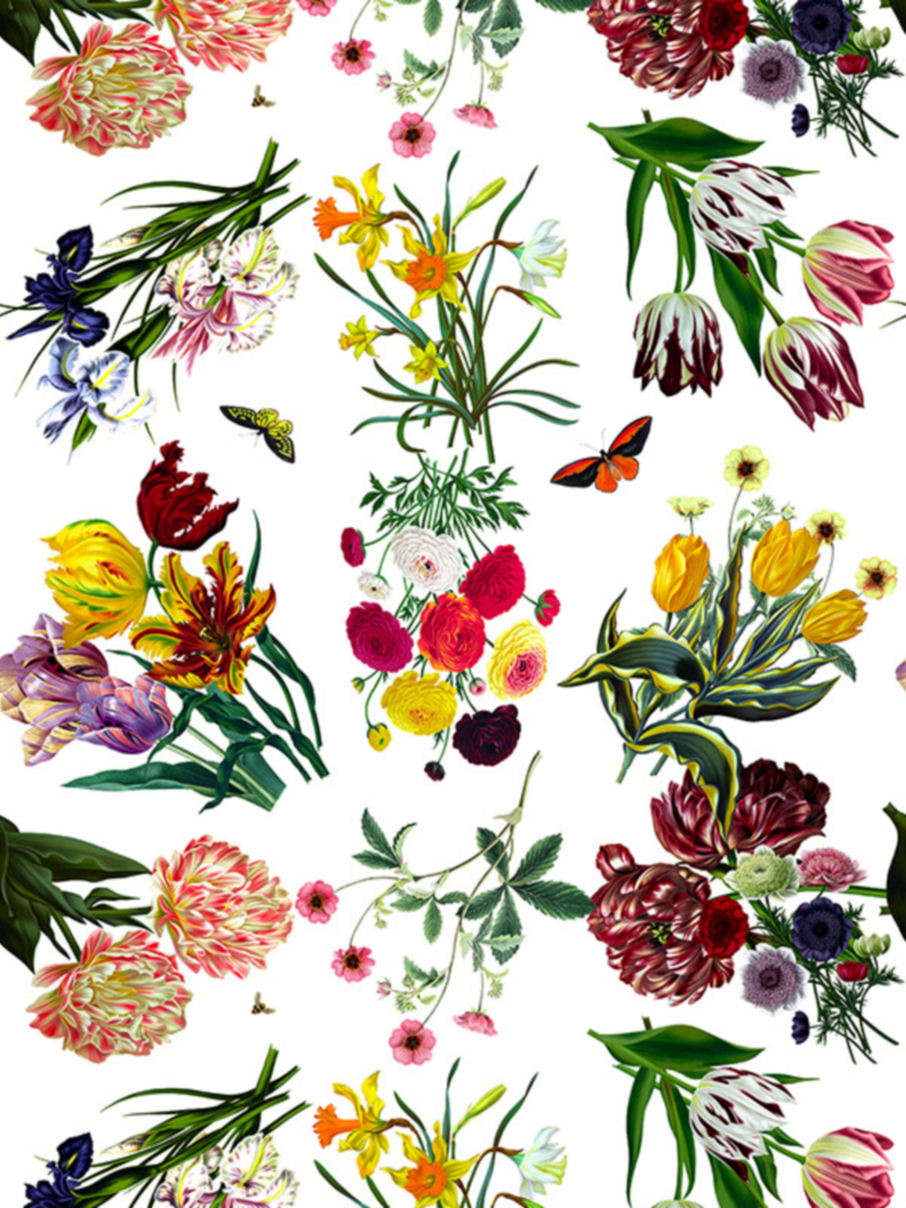 Flora and Fauna wallpaper in white color - pattern number WNM 0001FLOR - by Scalamandre in the collection