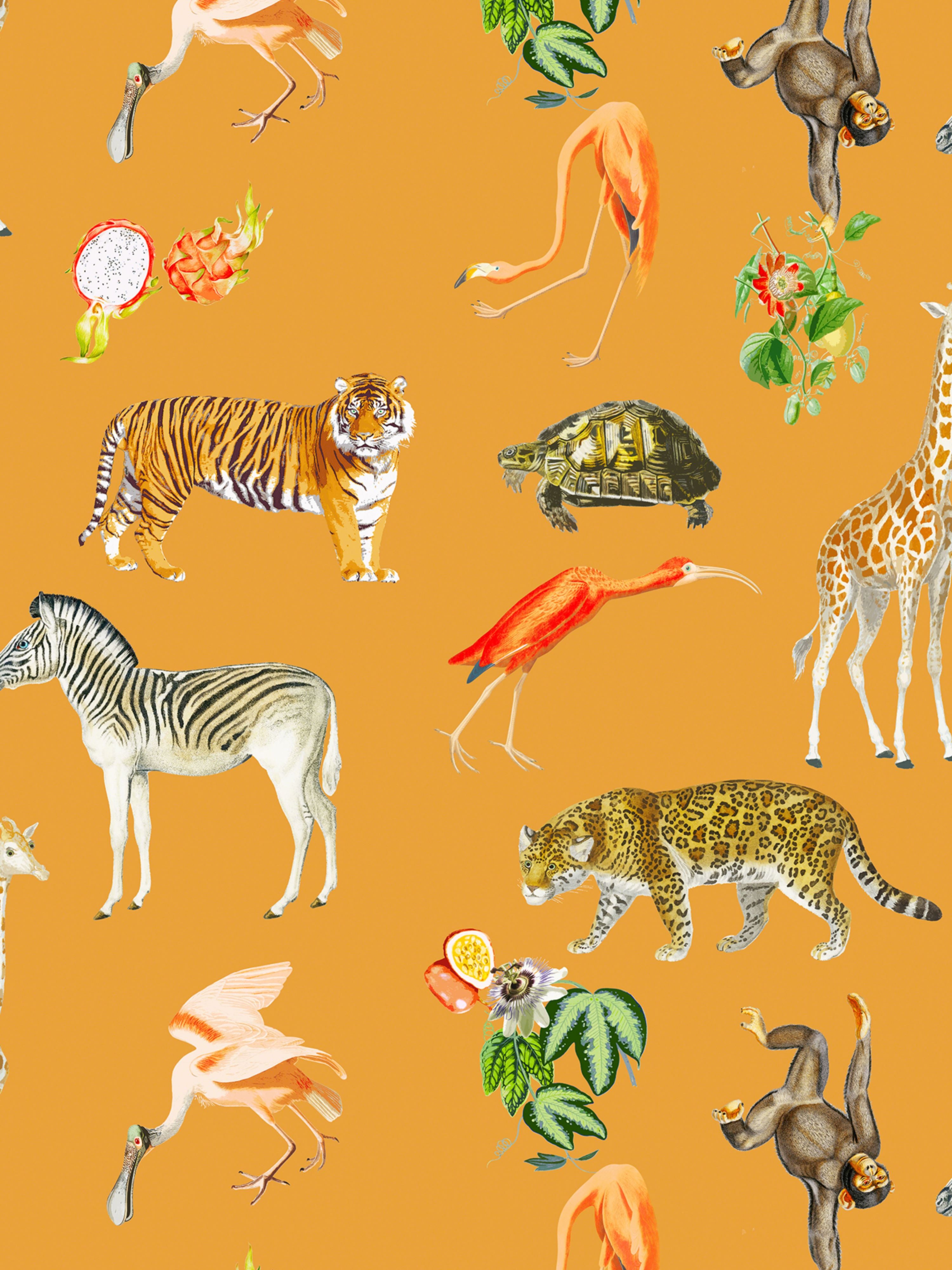 Exotix wallpaper in tangerine color - pattern number WNM 0003EXOT - by Scalamandre in the collection