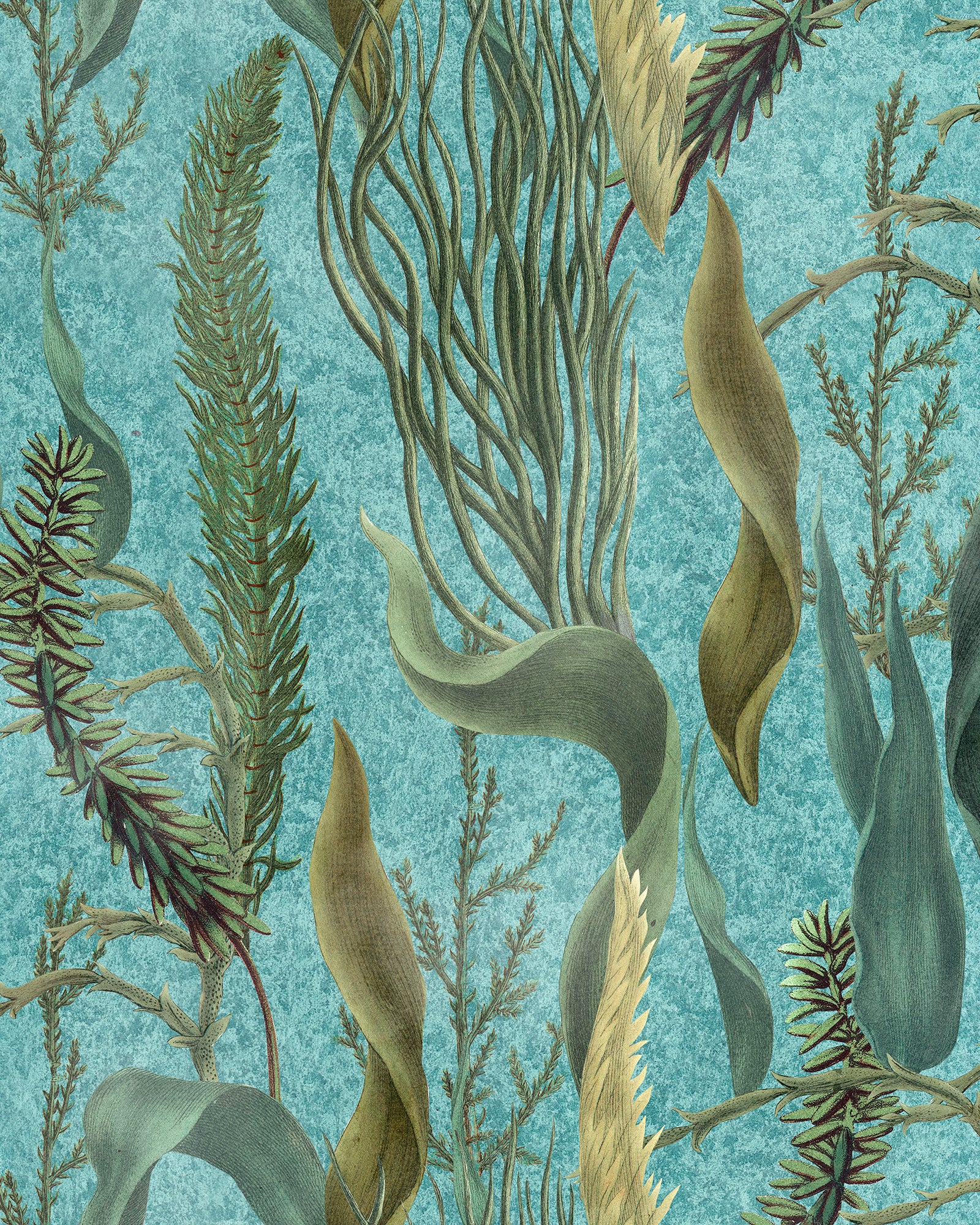 Aquatic Plants wallpaper in aquamarine color - pattern number WP20716 - by Mind the Gap in the The Wetlands collection