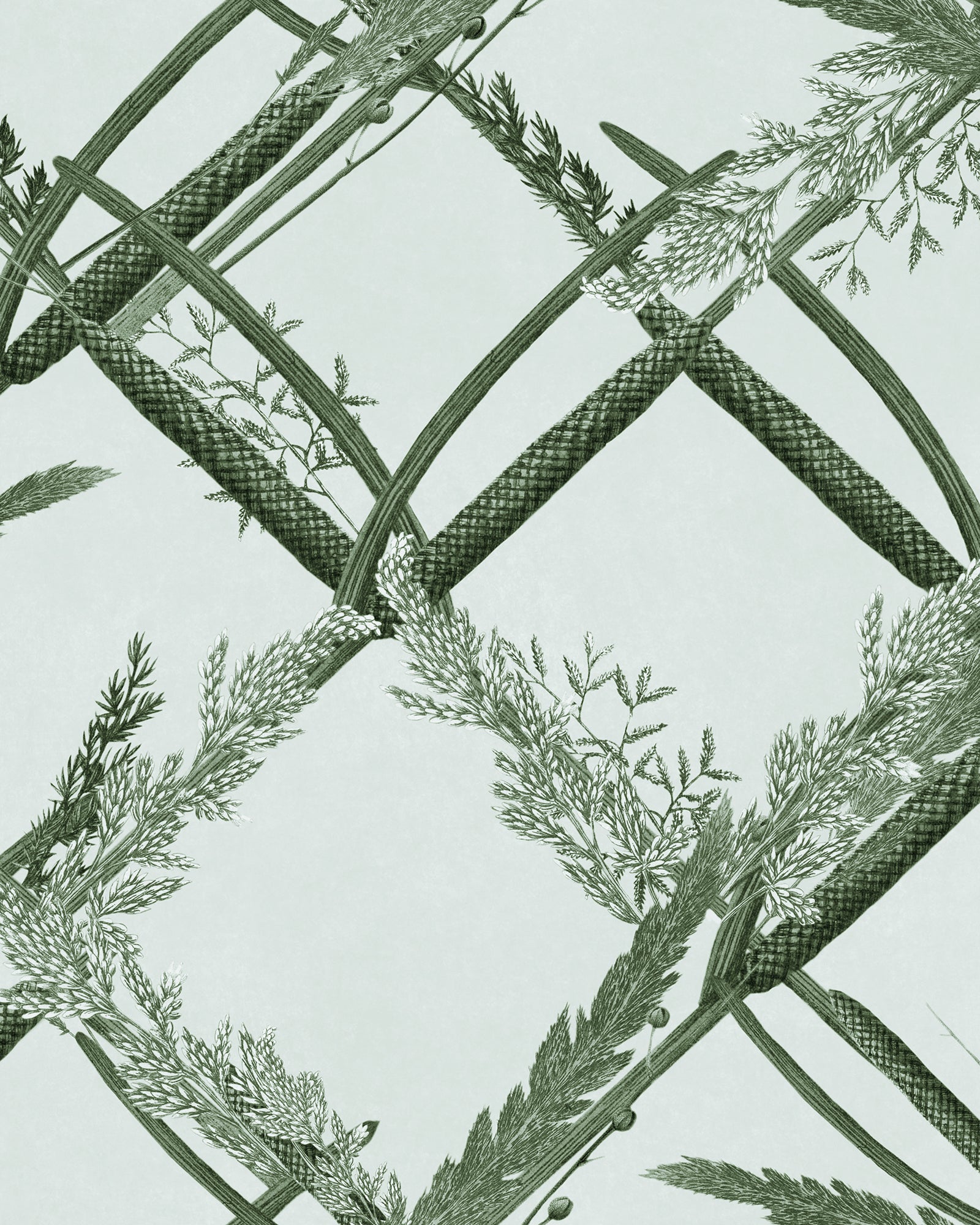 Ornamental Reed wallpaper in greenlake color - pattern number WP30162 - by Mind the Gap in the The Wetlands collection