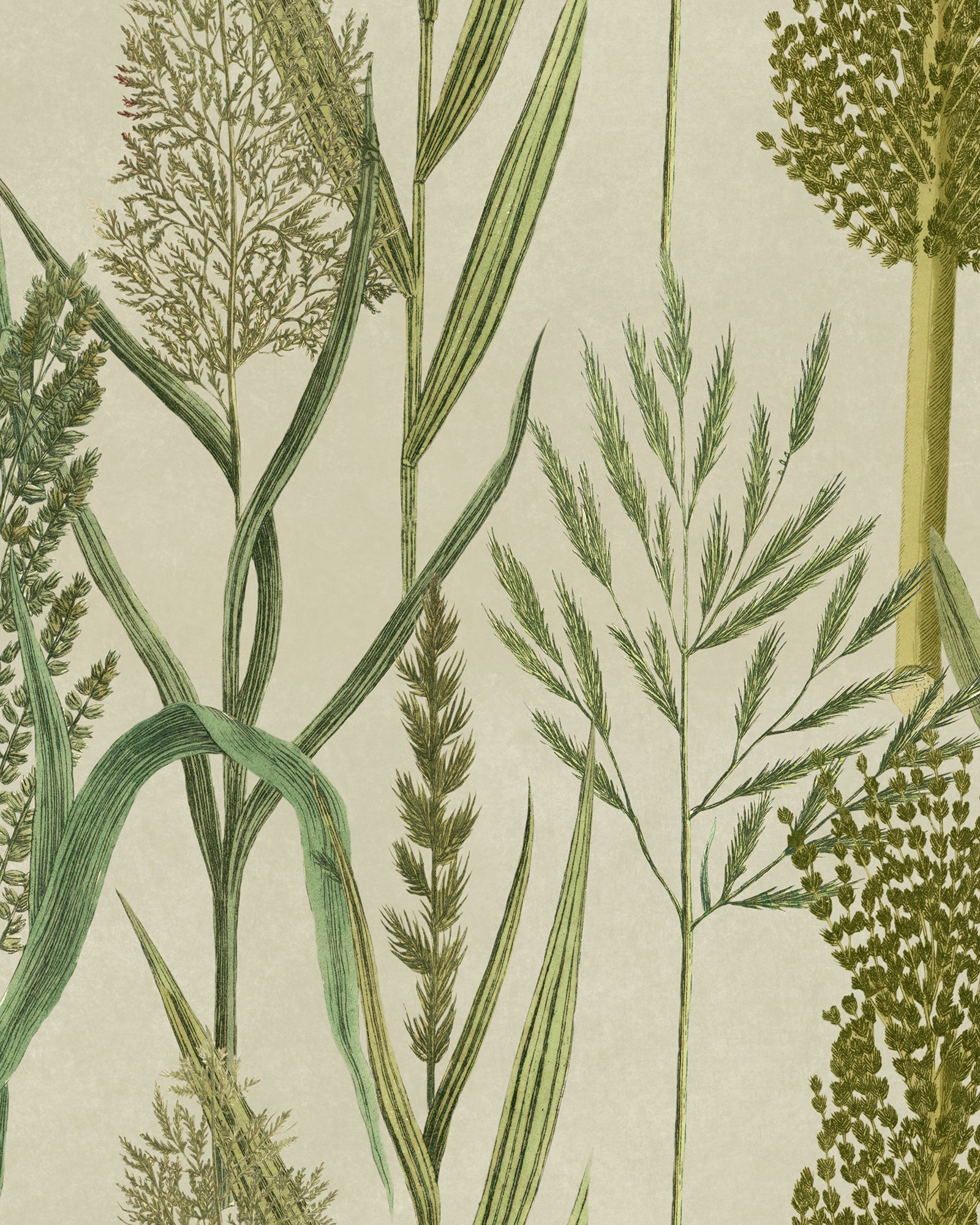 Riverside Flora wallpaper in taupe color - pattern number WP30164 - by Mind the Gap in the The Wetlands collection