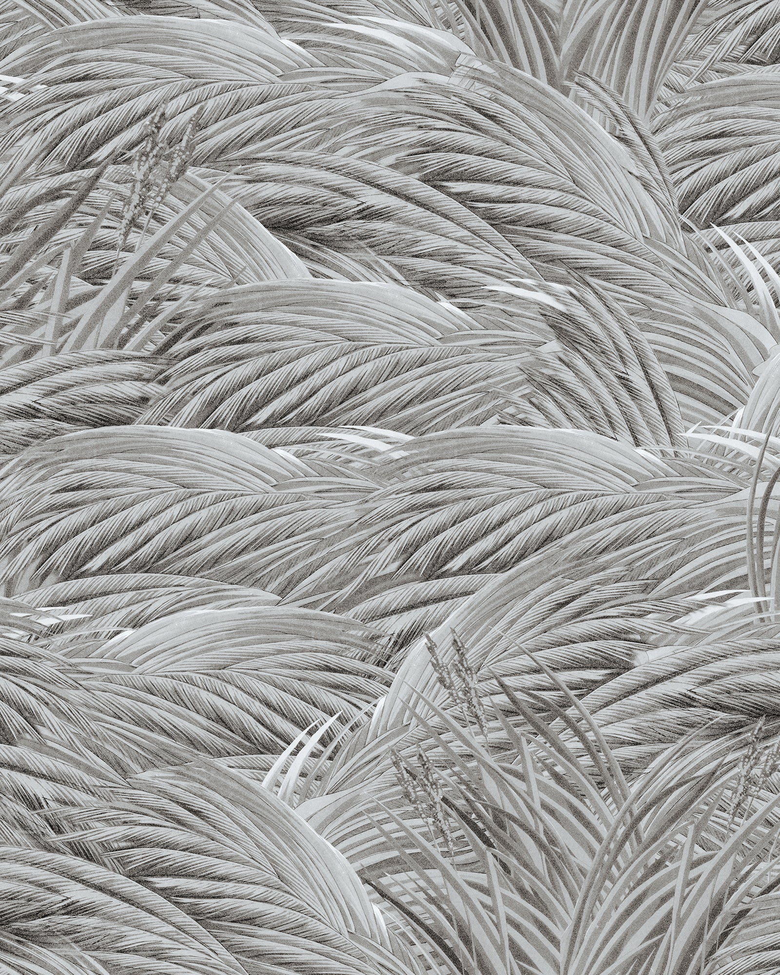 Triflora wallpaper in neutral color - pattern number WP30169 - by Mind the Gap in the The Wetlands collection