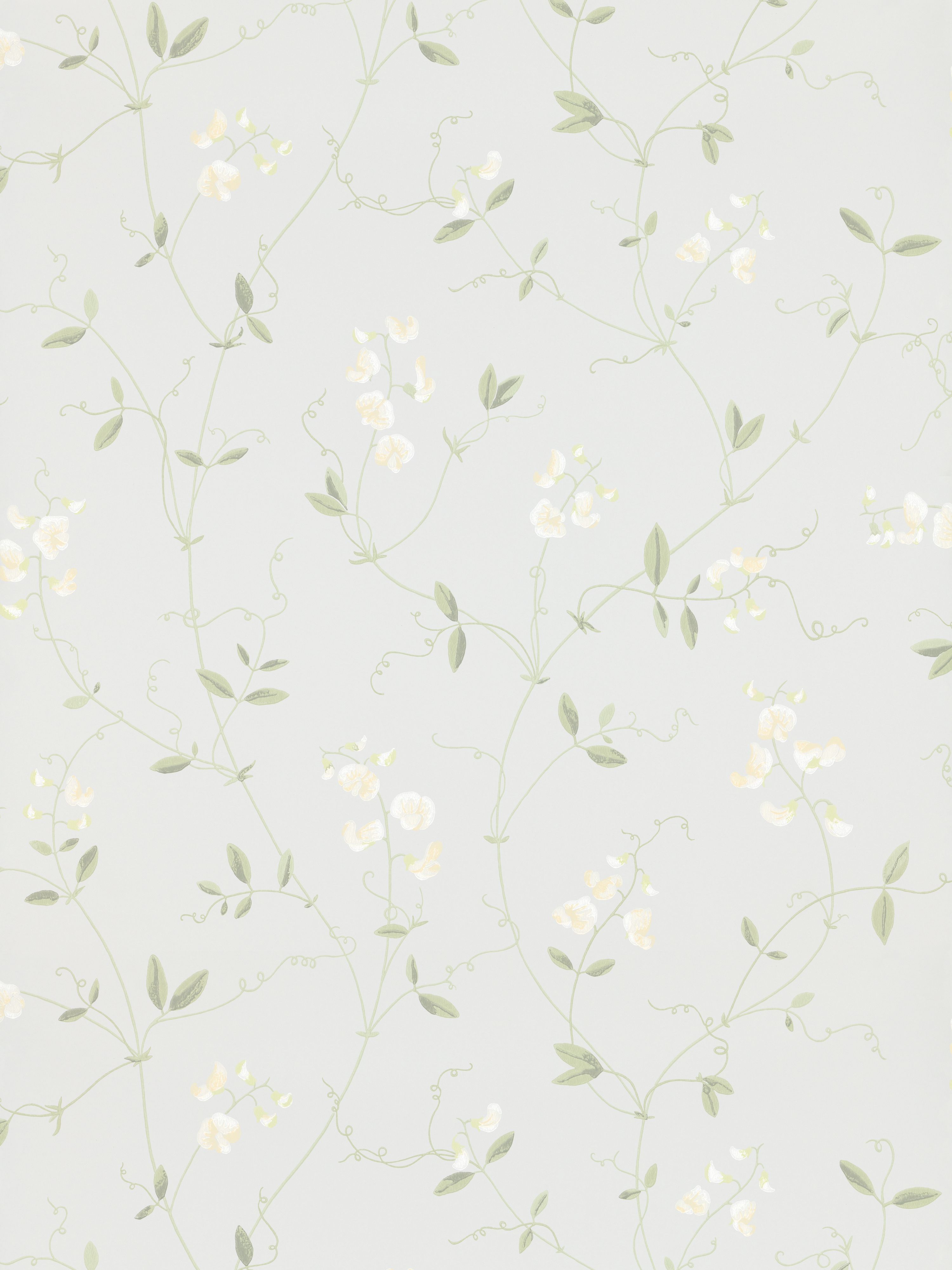 Sanna wallpaper in light blue color - pattern number WSB 00160490 - by Scalamandre in the collection