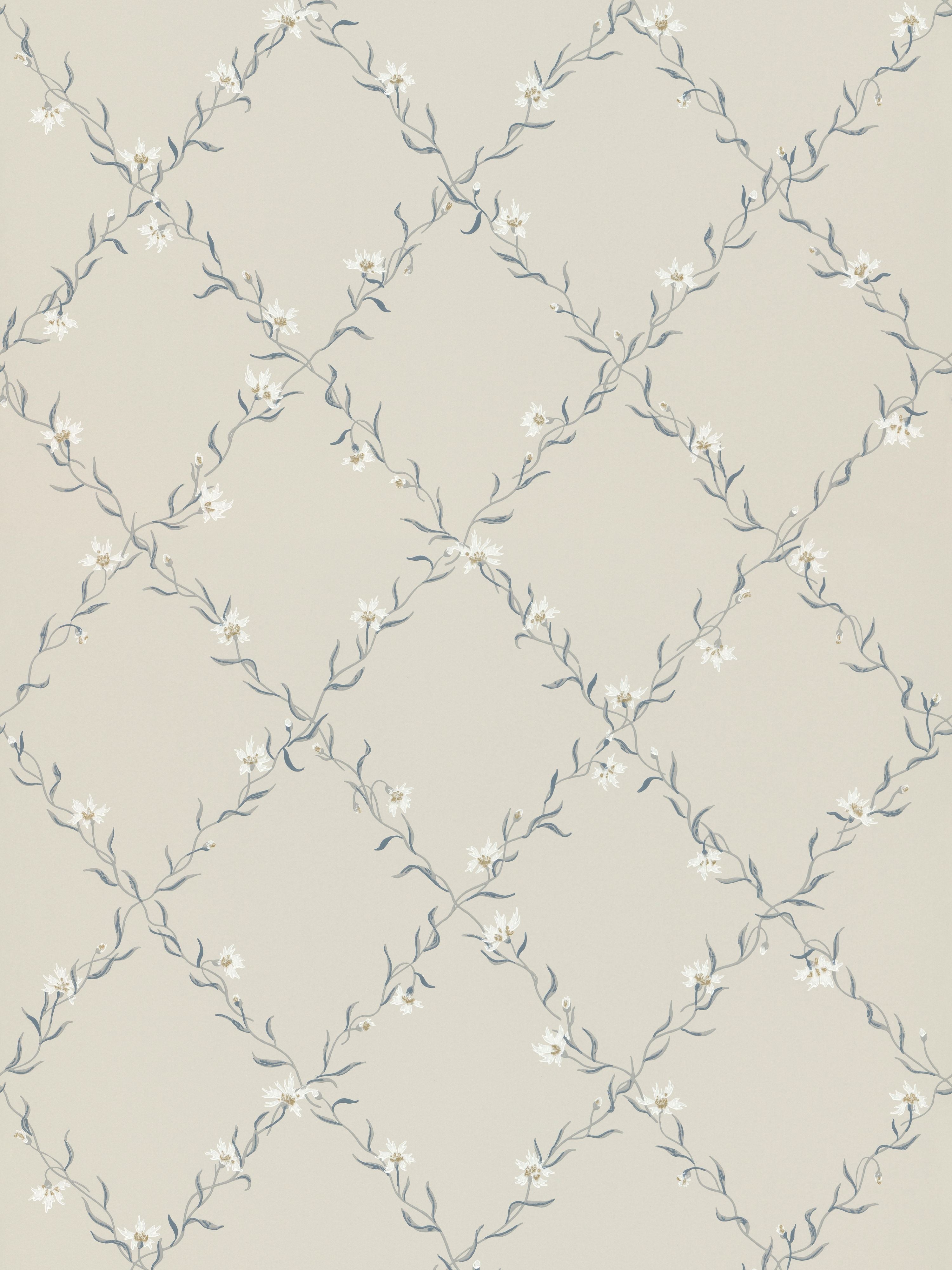 Ewa wallpaper in grey color - pattern number WSB 00210806 - by Scalamandre in the collection