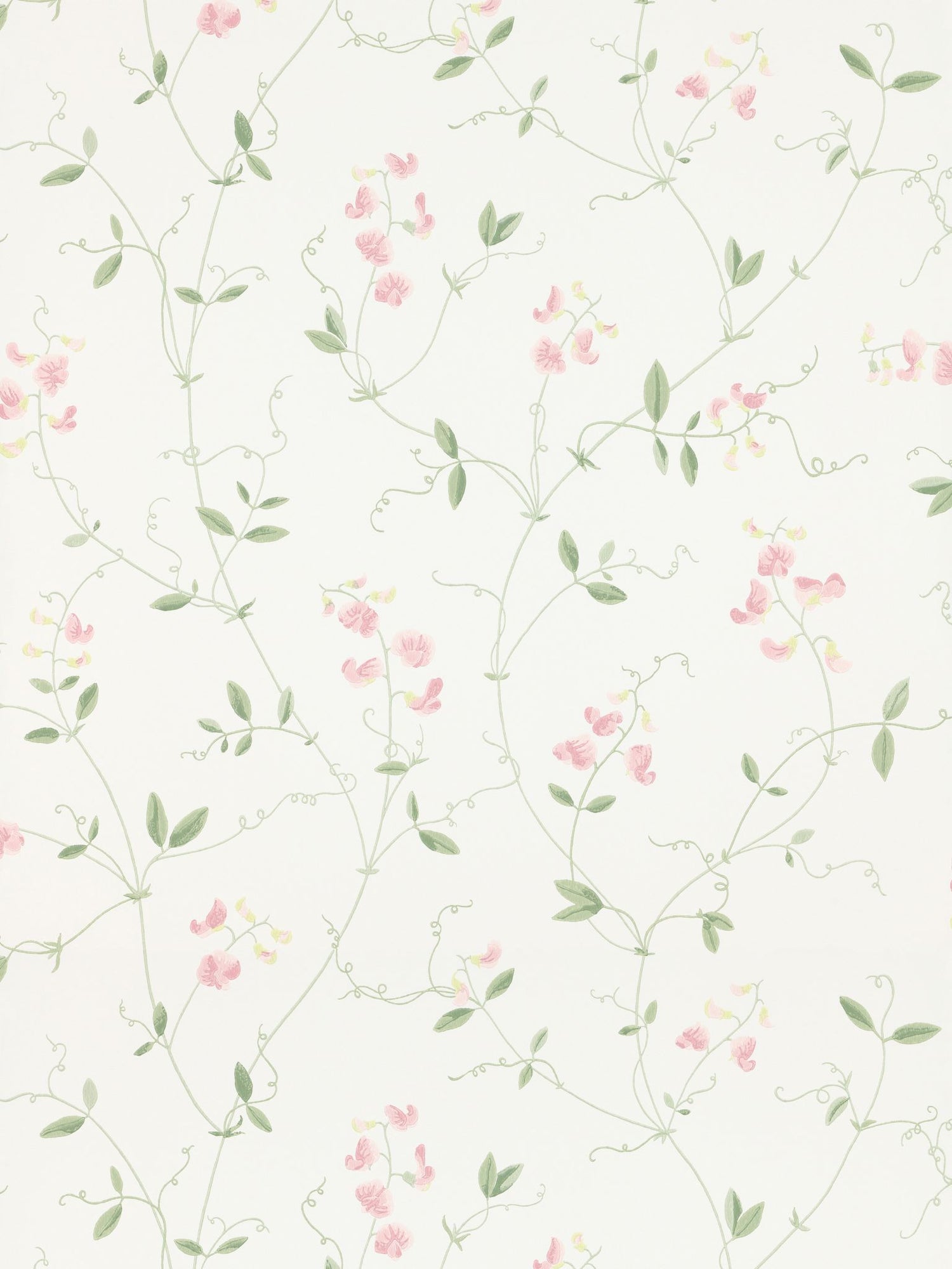 Sanna fabric in light pink color - pattern number WSB 00240490 - by Scalamandre in the  collection