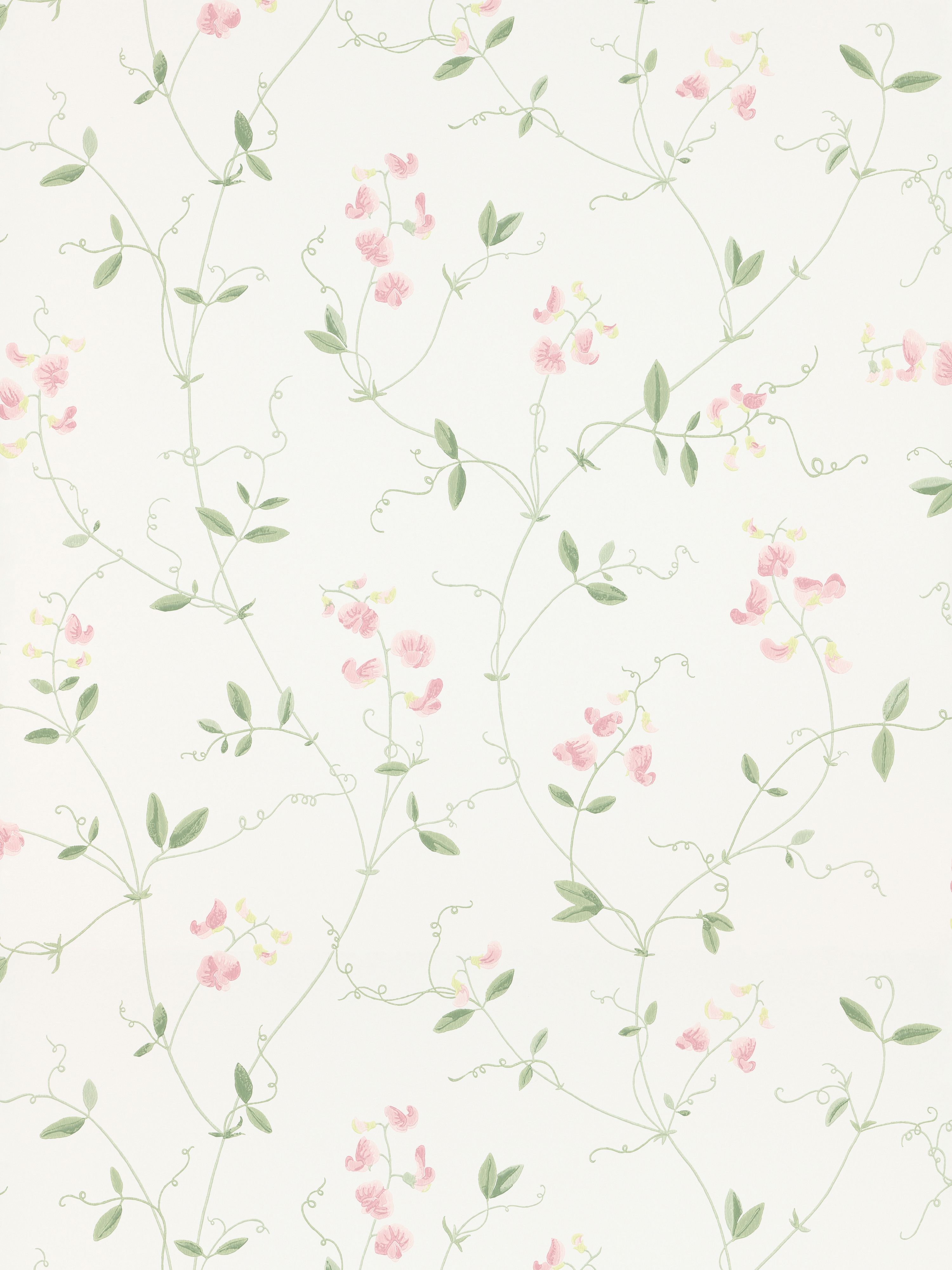 Sanna wallpaper in light pink color - pattern number WSB 00240490 - by Scalamandre in the collection