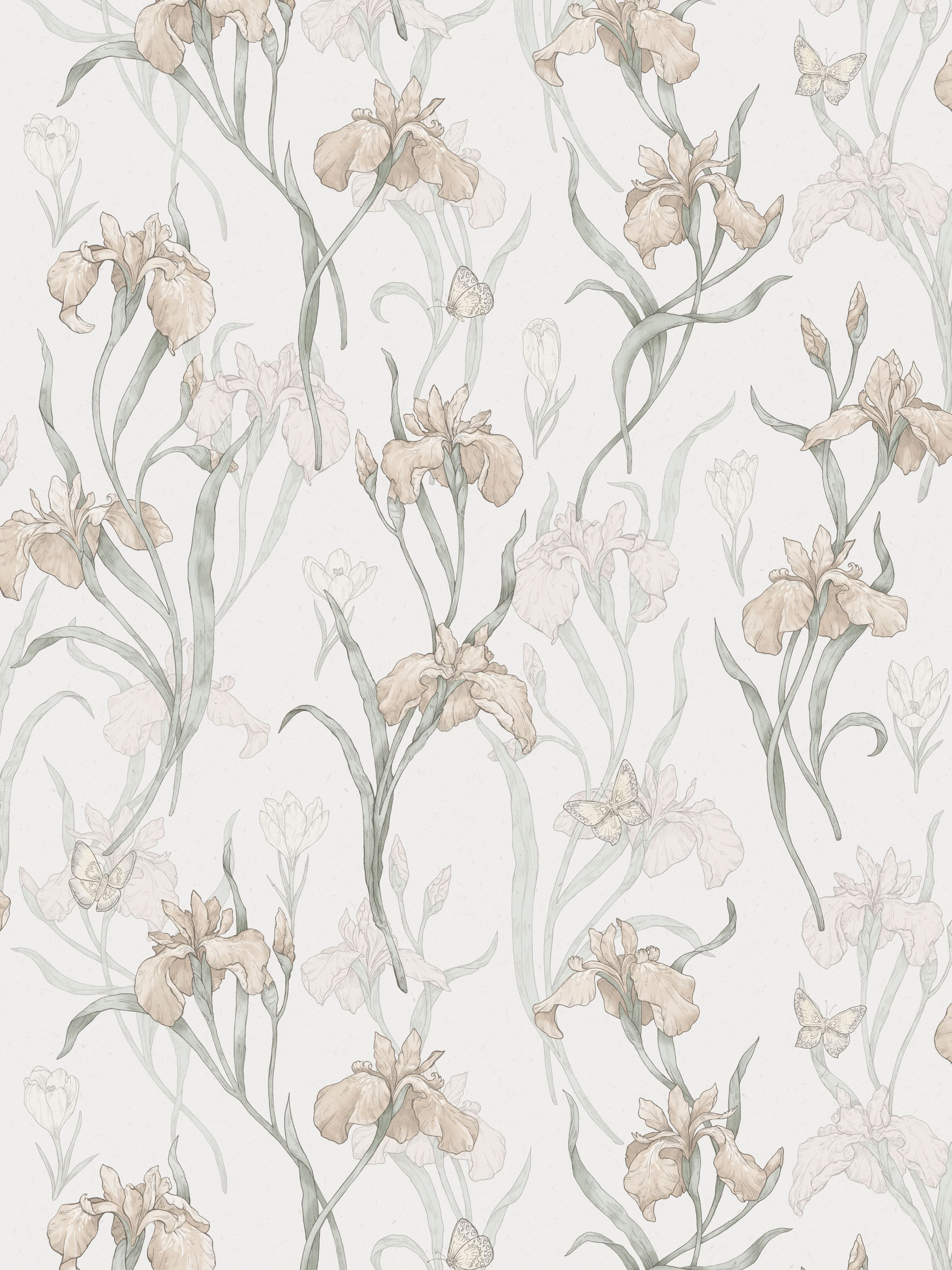 Iris wallpaper in powder pink color - pattern number WSB 003501013 - by Scalamandre in the collection