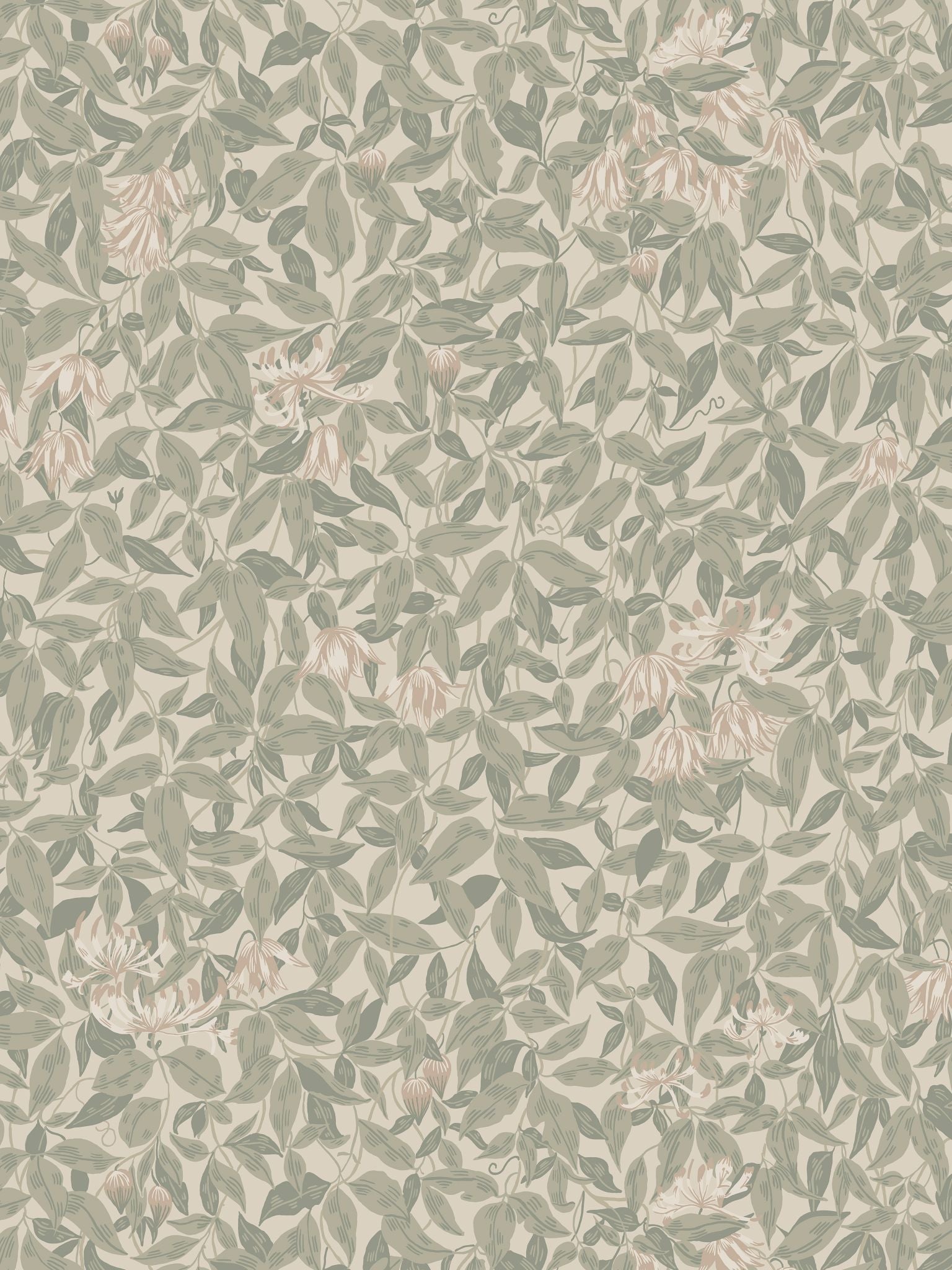 Linnea fabric in garden green color - pattern number WSB 00380838 - by Scalamandre in the collection