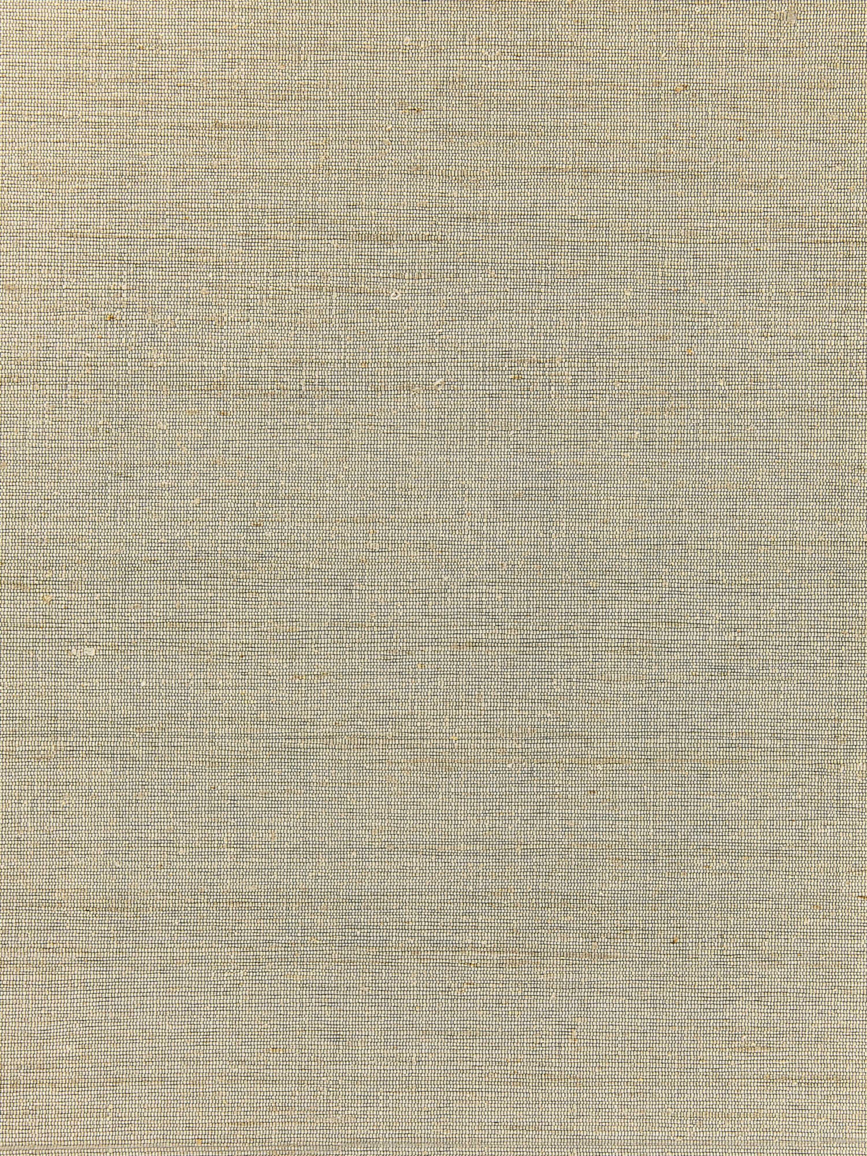 Orissa Silk wallpaper in oat color - pattern number WTT 661528 - by Scalamandre in the collection