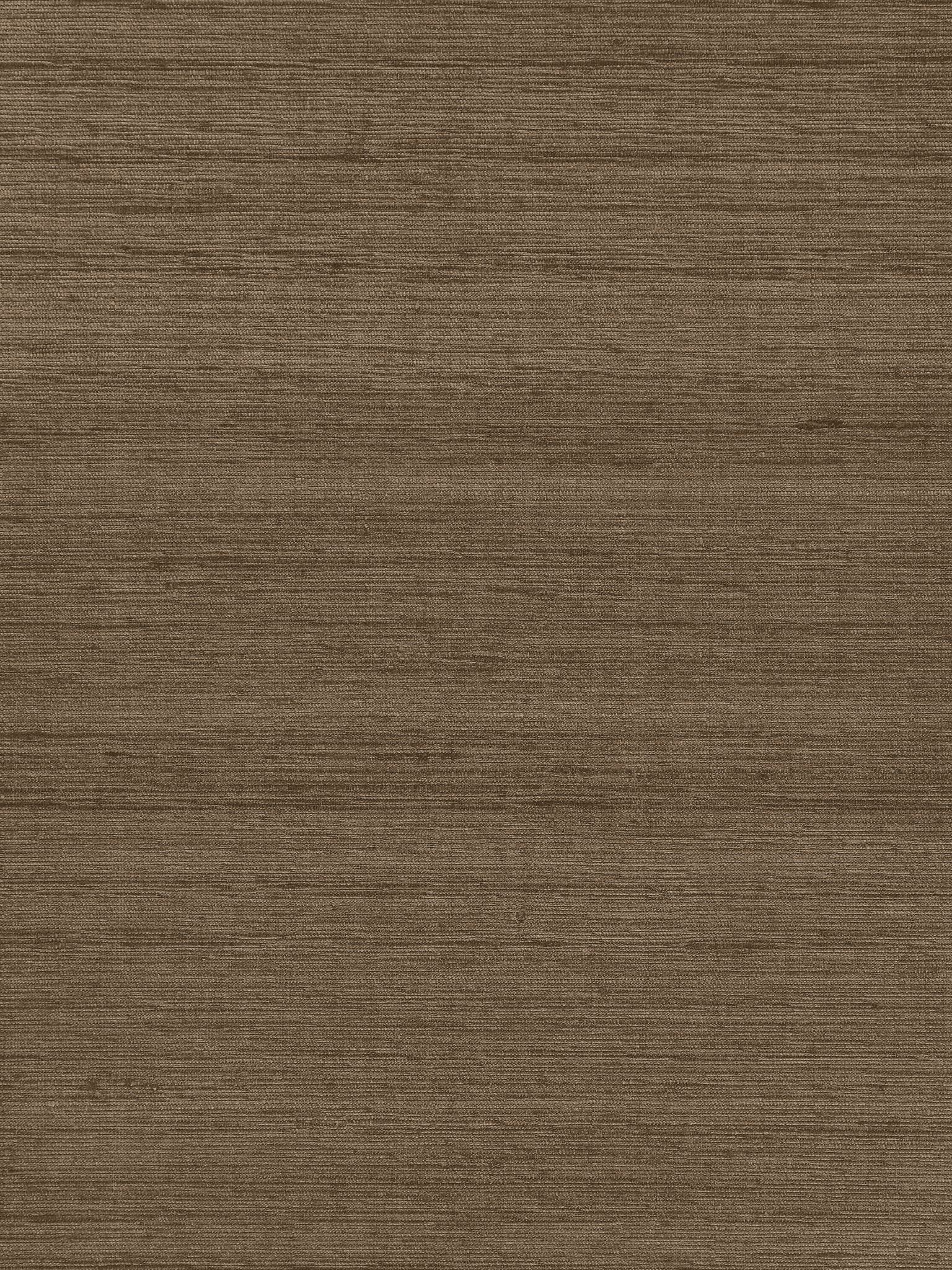 Orissa Silk fabric in mocha color - pattern number WTT 661529 - by Scalamandre in the collection