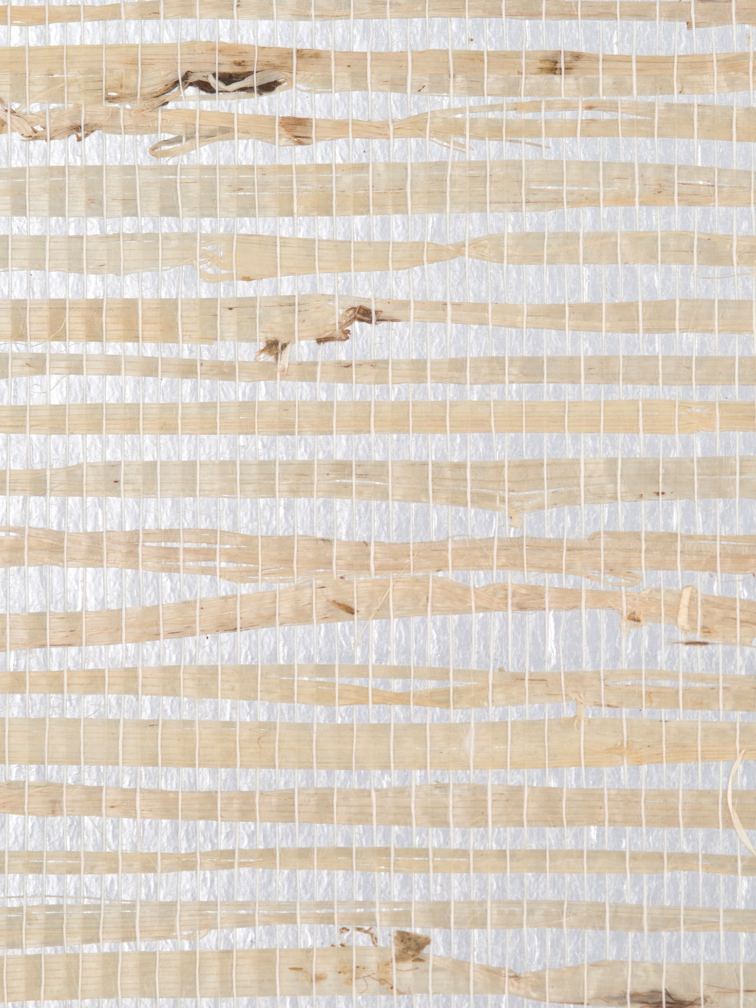 Delilah wallpaper in silver color - pattern number WTW 0452DELI - by Scalamandre in the collection