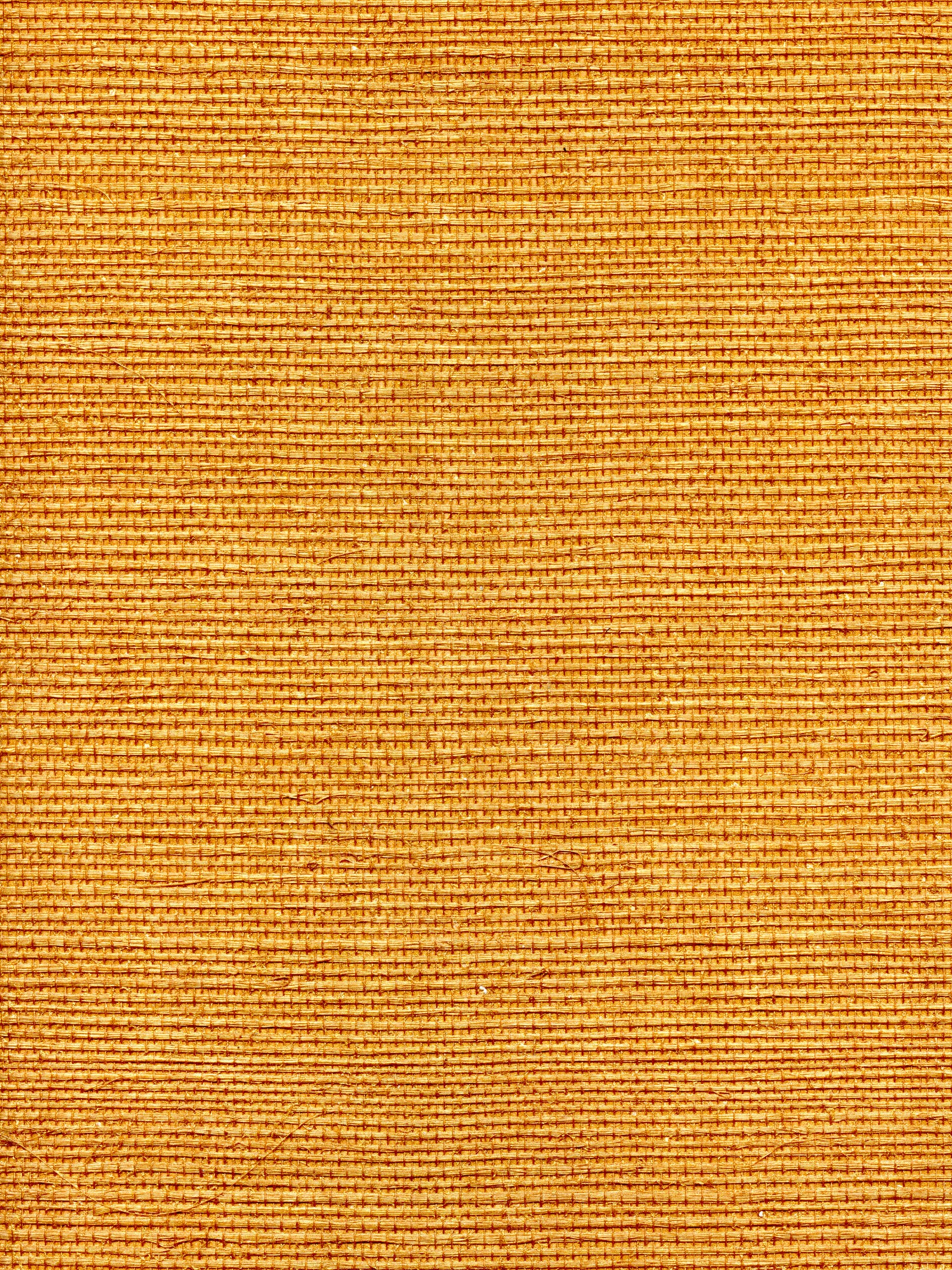 Organic Sisal wallpaper in tuscan color - pattern number WTW GT3901 - by Scalamandre in the collection