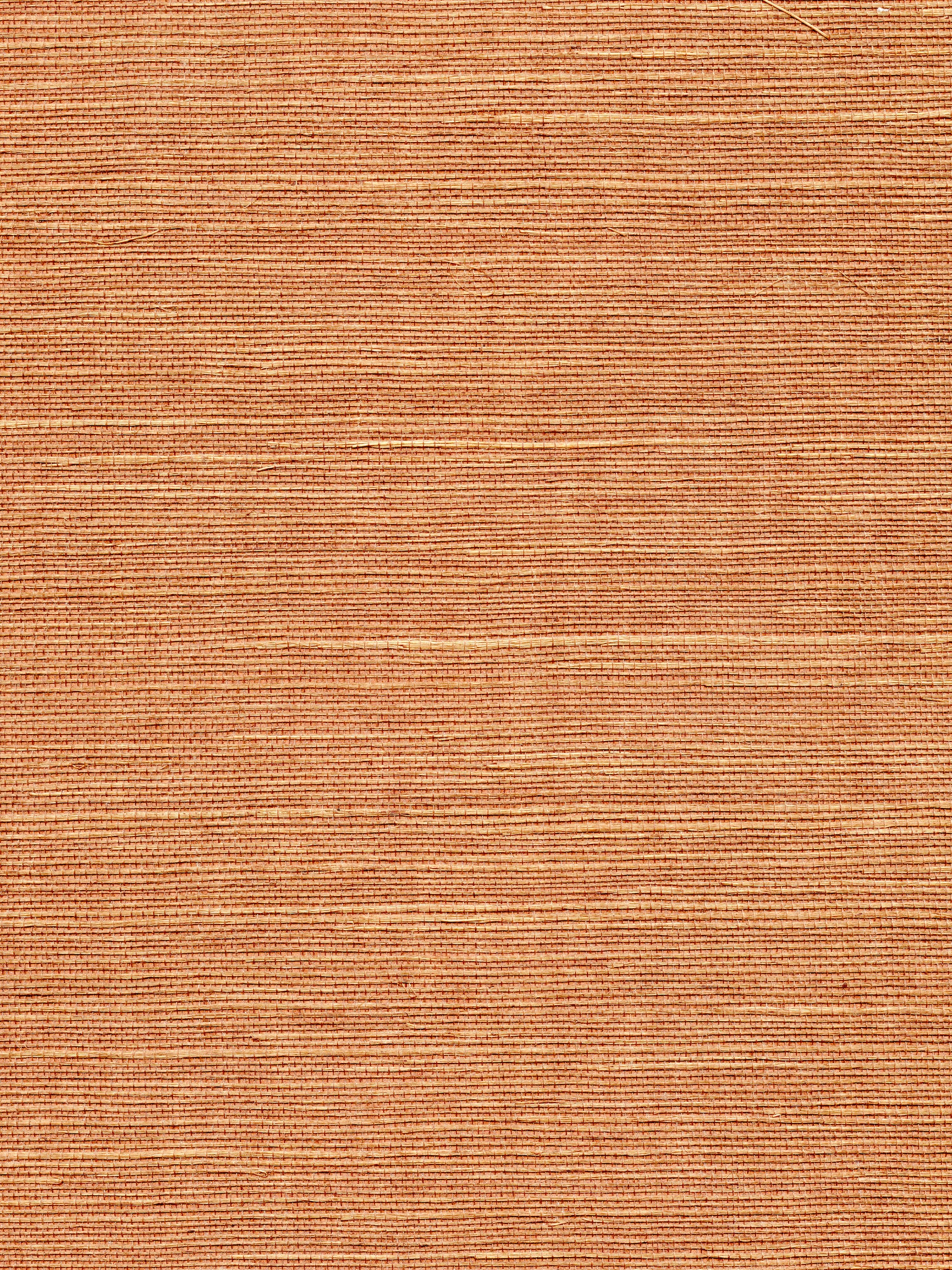 Organic Sisal wallpaper in java color - pattern number WTW GT3934 - by Scalamandre in the collection