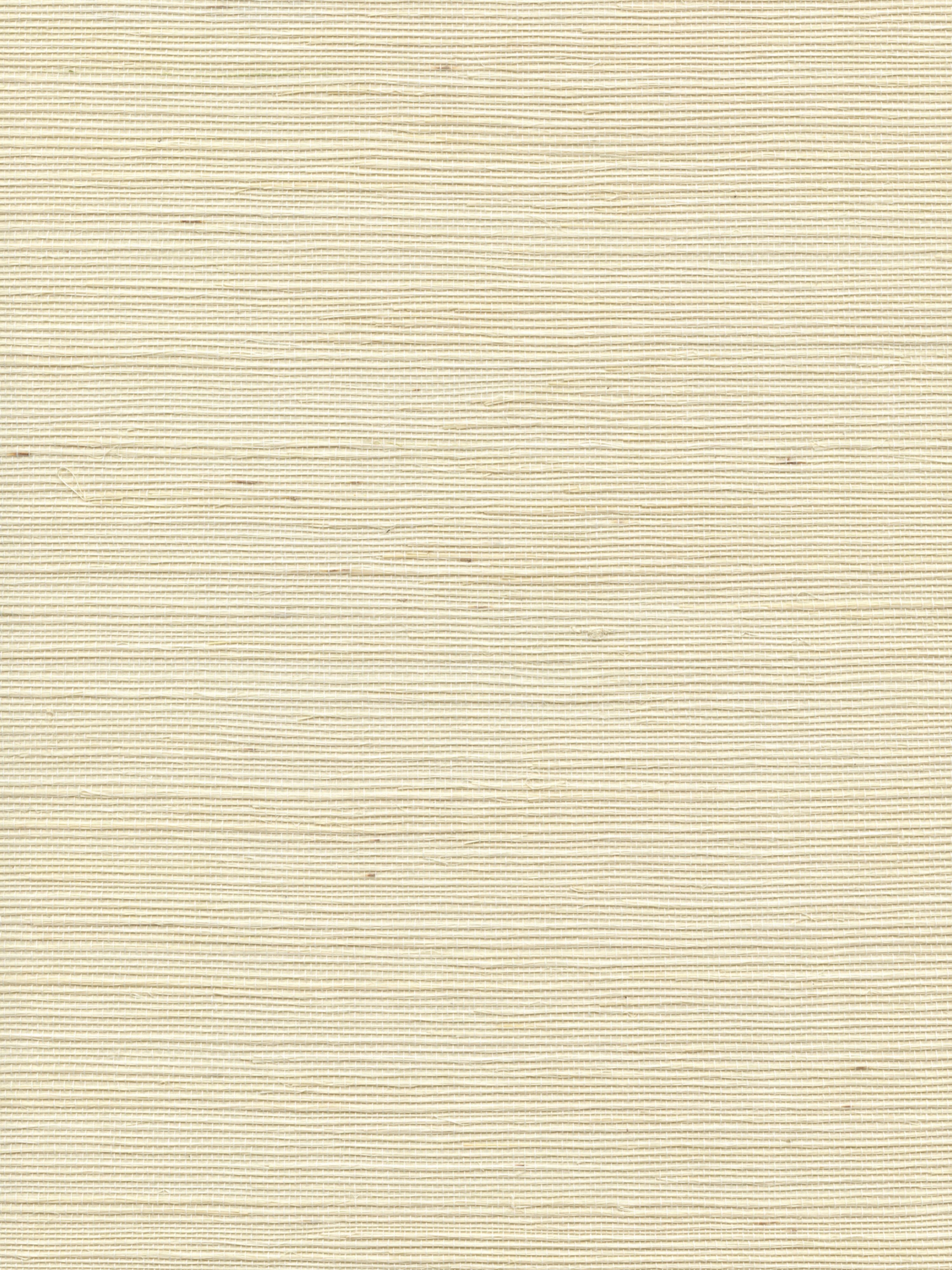 Organic Sisal wallpaper in vellum color - pattern number WTW GT3947 - by Scalamandre in the collection