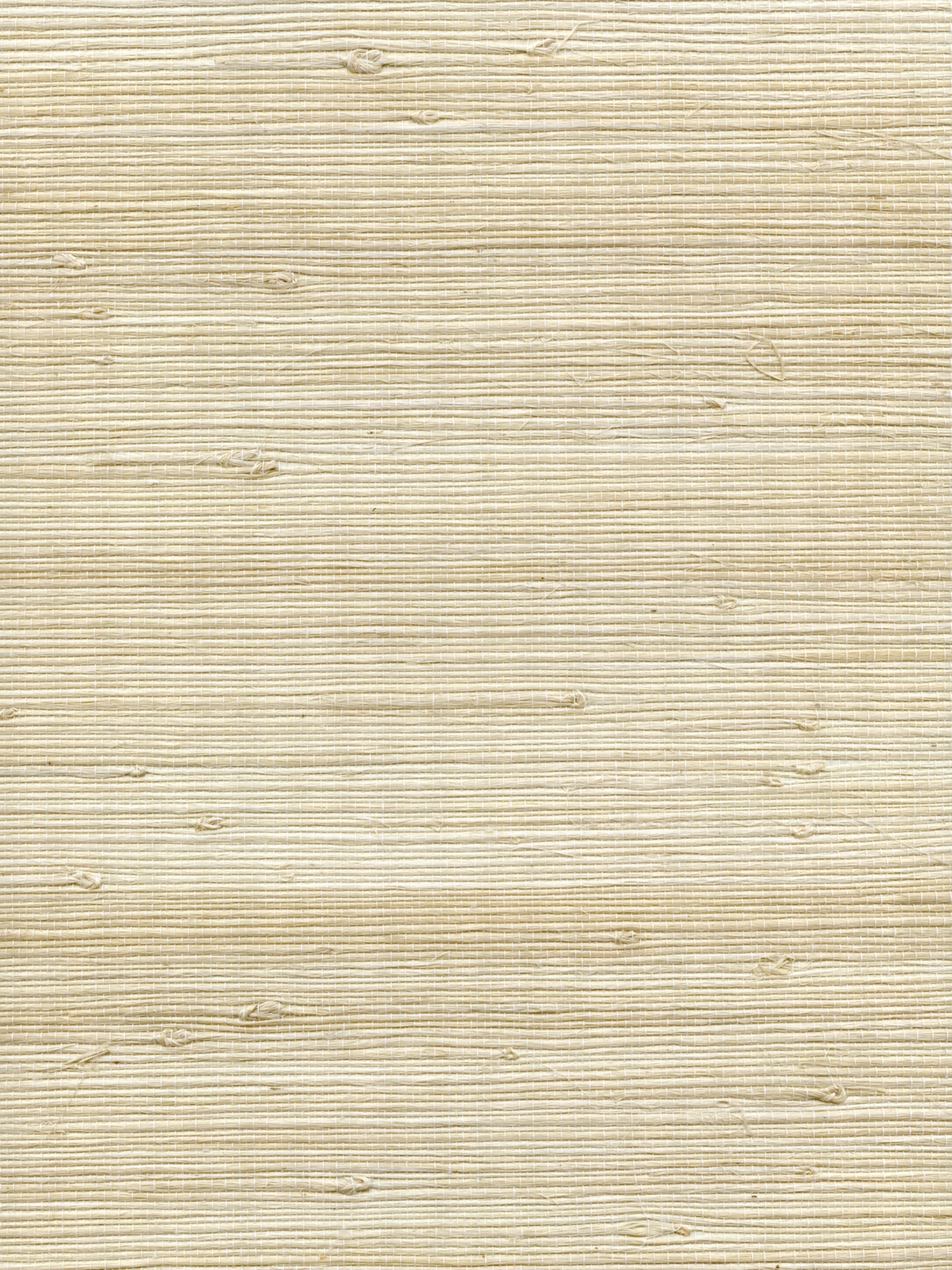 Organic Jute wallpaper in breeze color - pattern number WTW GT3948 - by Scalamandre in the collection