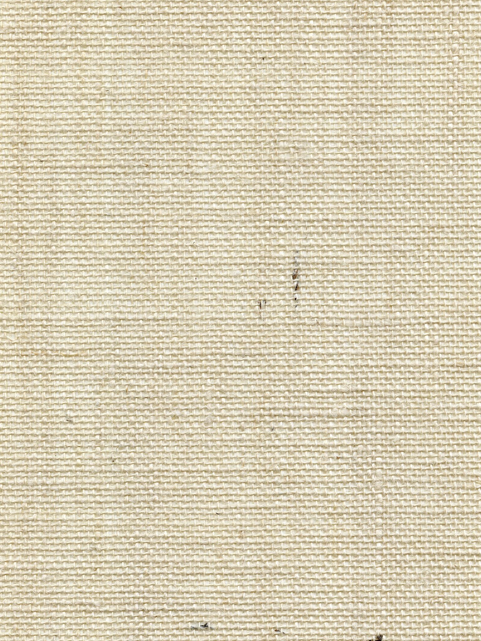 Organic Burlap fabric in cloud color - pattern number WTW GT3949 - by Scalamandre in the collection