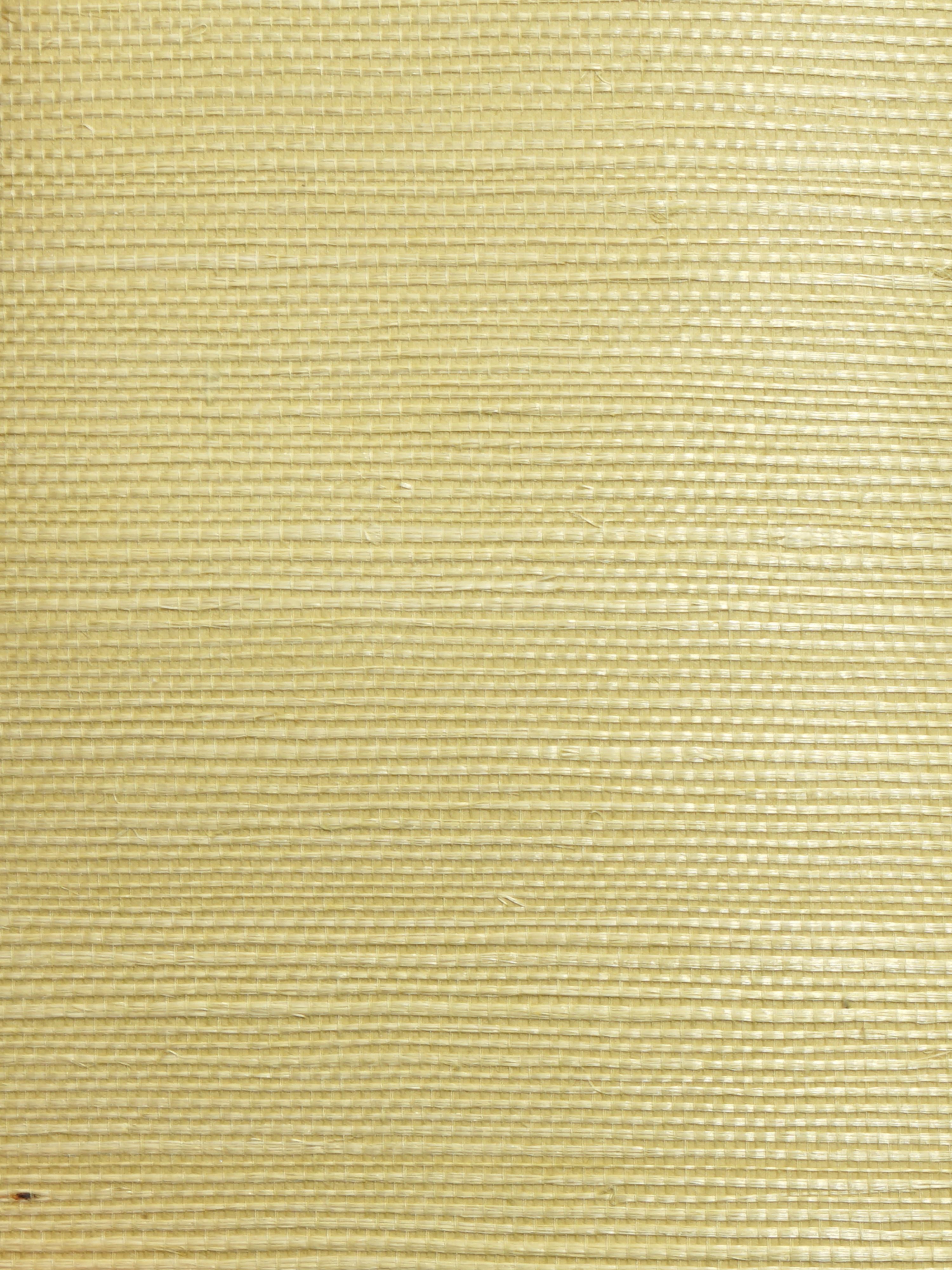 Organic Sisal wallpaper in leaf color - pattern number WTW GT3964 - by Scalamandre in the collection