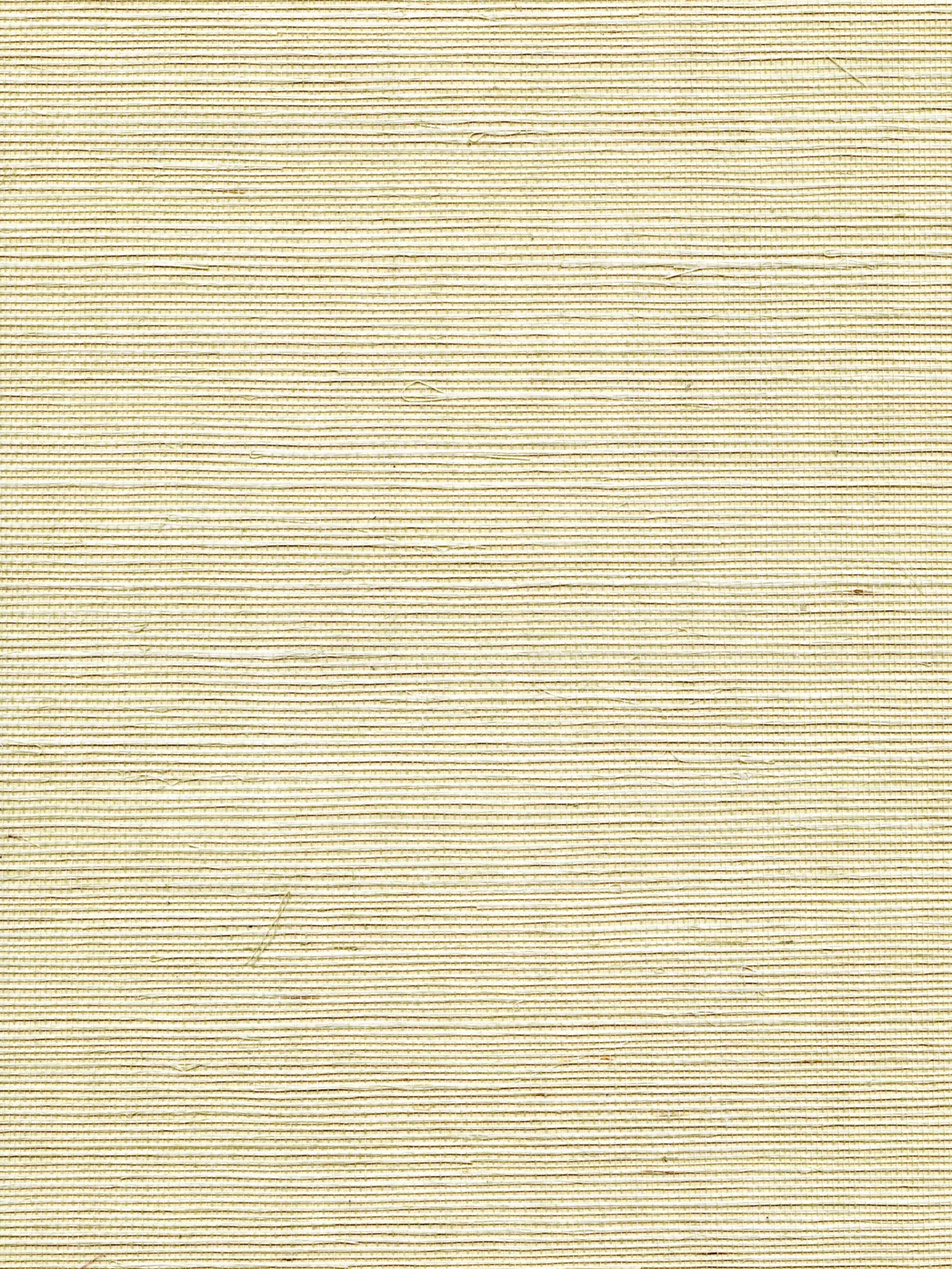 Organic Sisal wallpaper in sea spray color - pattern number WTW GT3977 - by Scalamandre in the collection