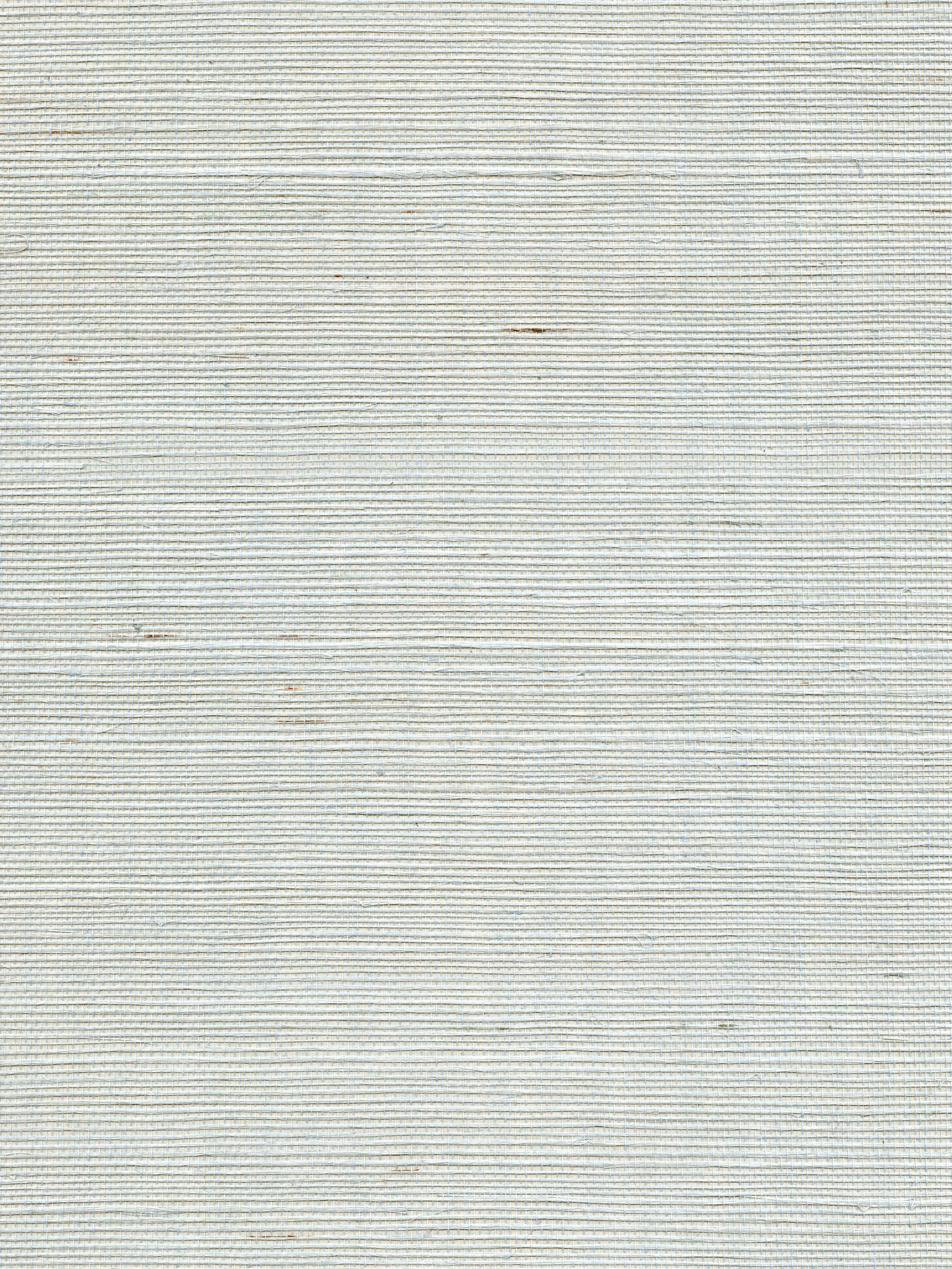 Organic Sisal wallpaper in refresh color - pattern number WTW GT3980 - by Scalamandre in the collection