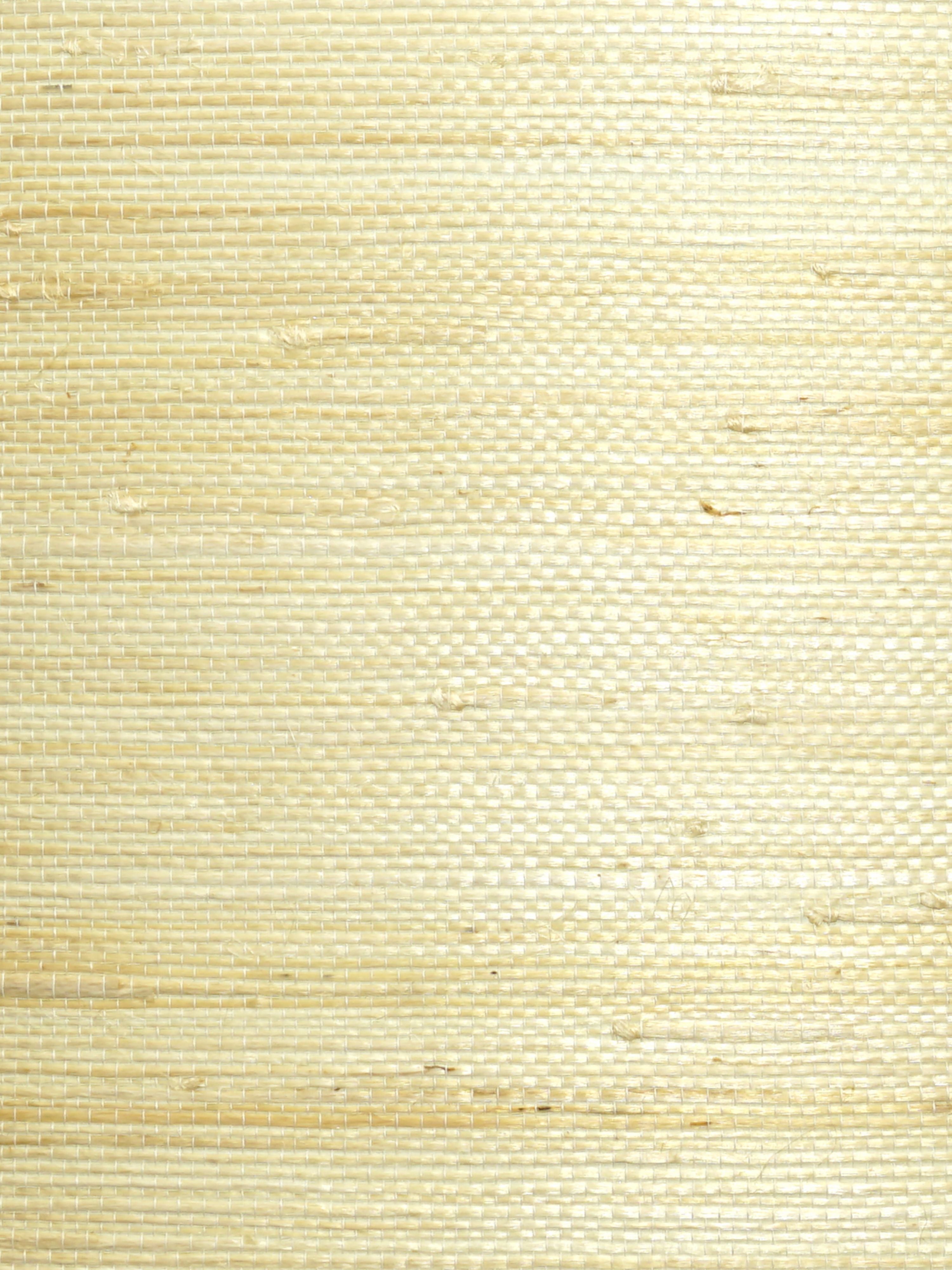 Natural Jute wallpaper in cotton color - pattern number WTW SG5635 - by Scalamandre in the collection
