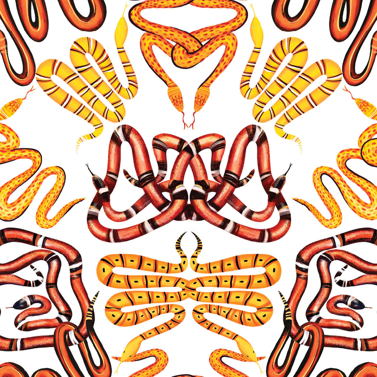 Charmed Wallpaper in Orange color - pattern number KK710_Orange_KH300 - by Katie Kime in the collection