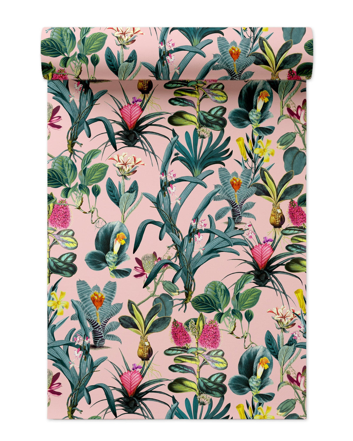 Lisse Wallpaper in Pink color - pattern number KK729_Pink_KH300 - by Katie Kime in the collection