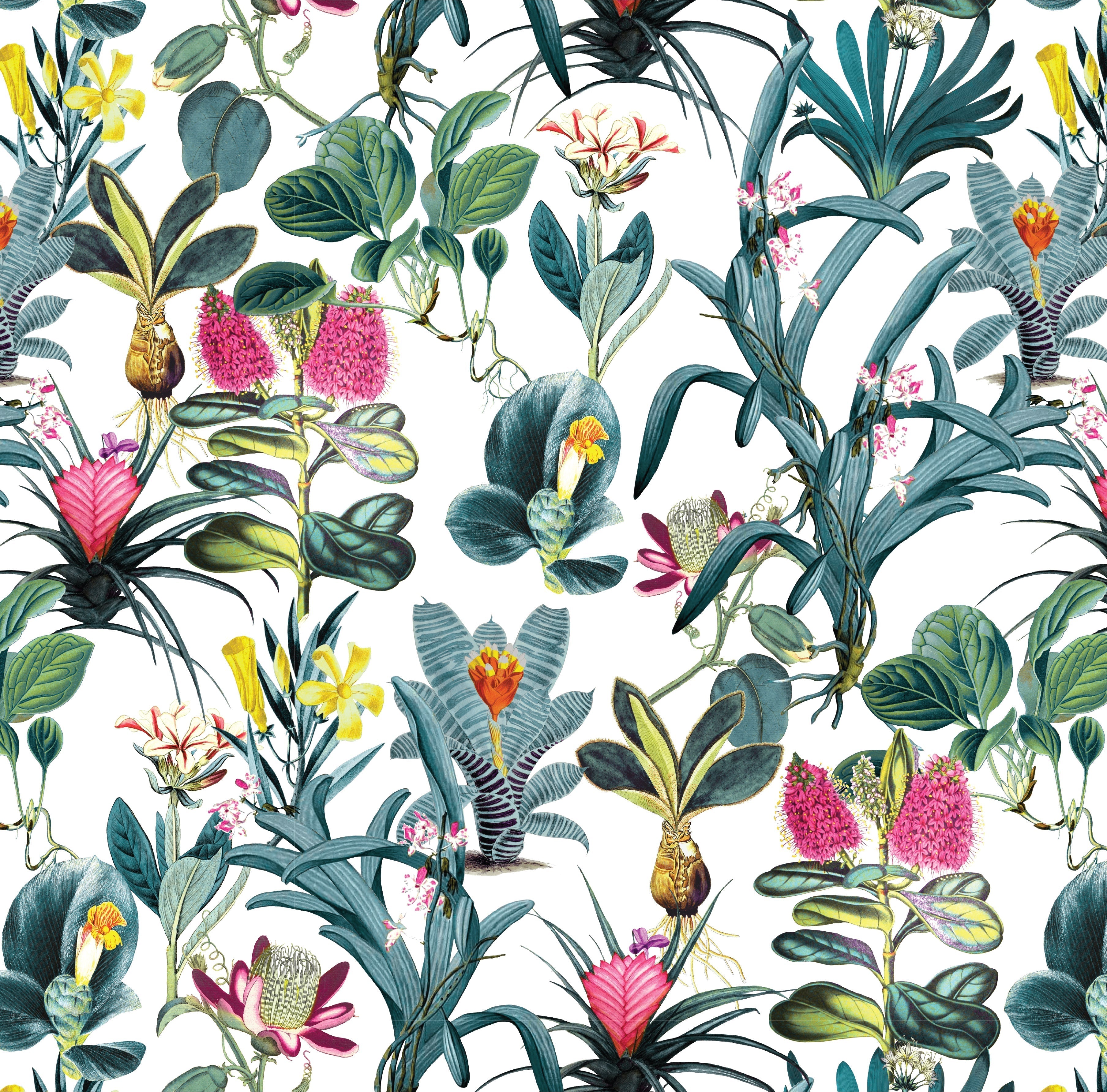 Lisse Wallpaper in White color - pattern number KK729_White_KH300 - by Katie Kime in the collection