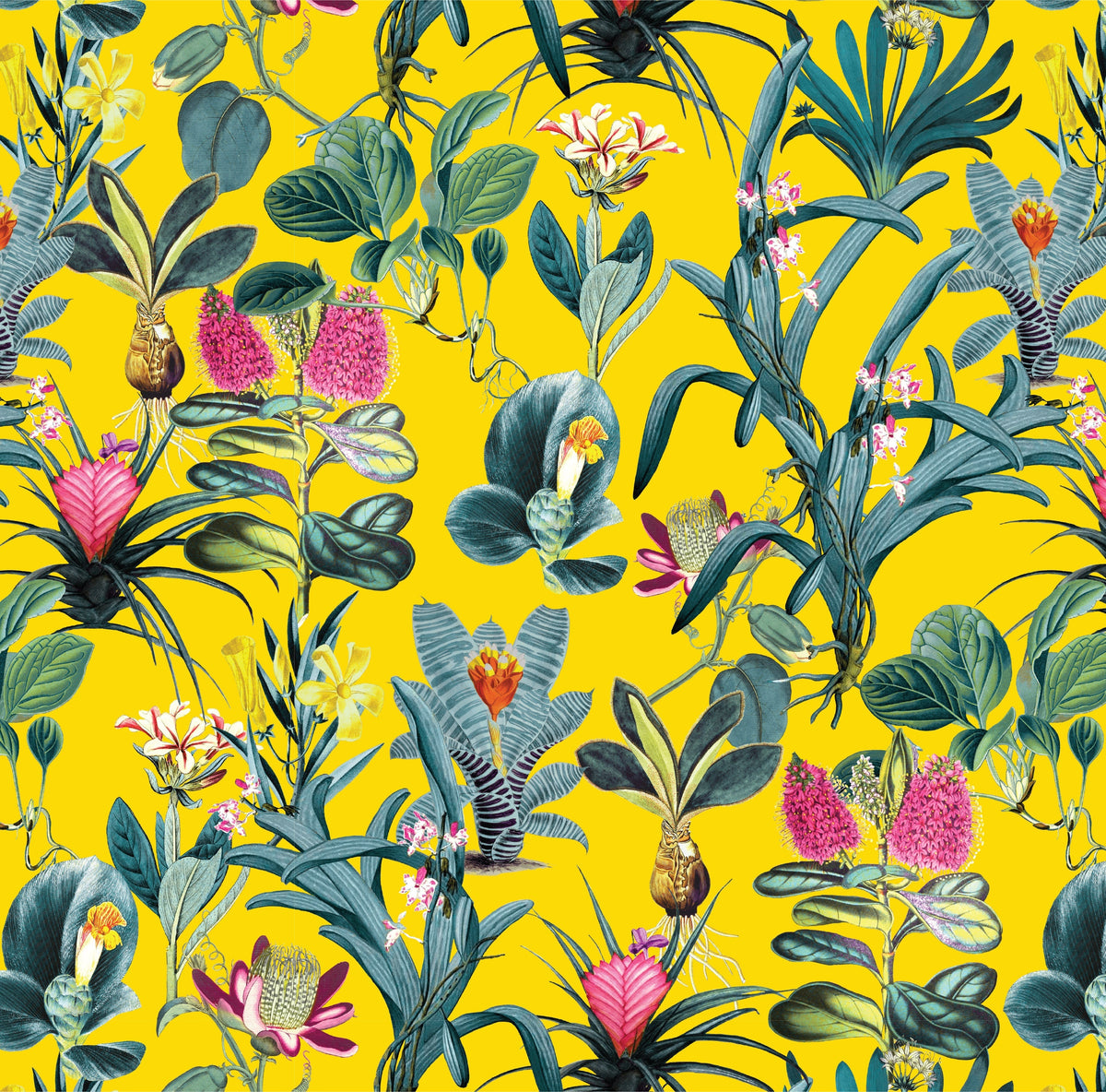 Lisse Peel and Stick Wallpaper in Yellow color - pattern number KK729_Yellow_KH306 - by Katie Kime in the collection