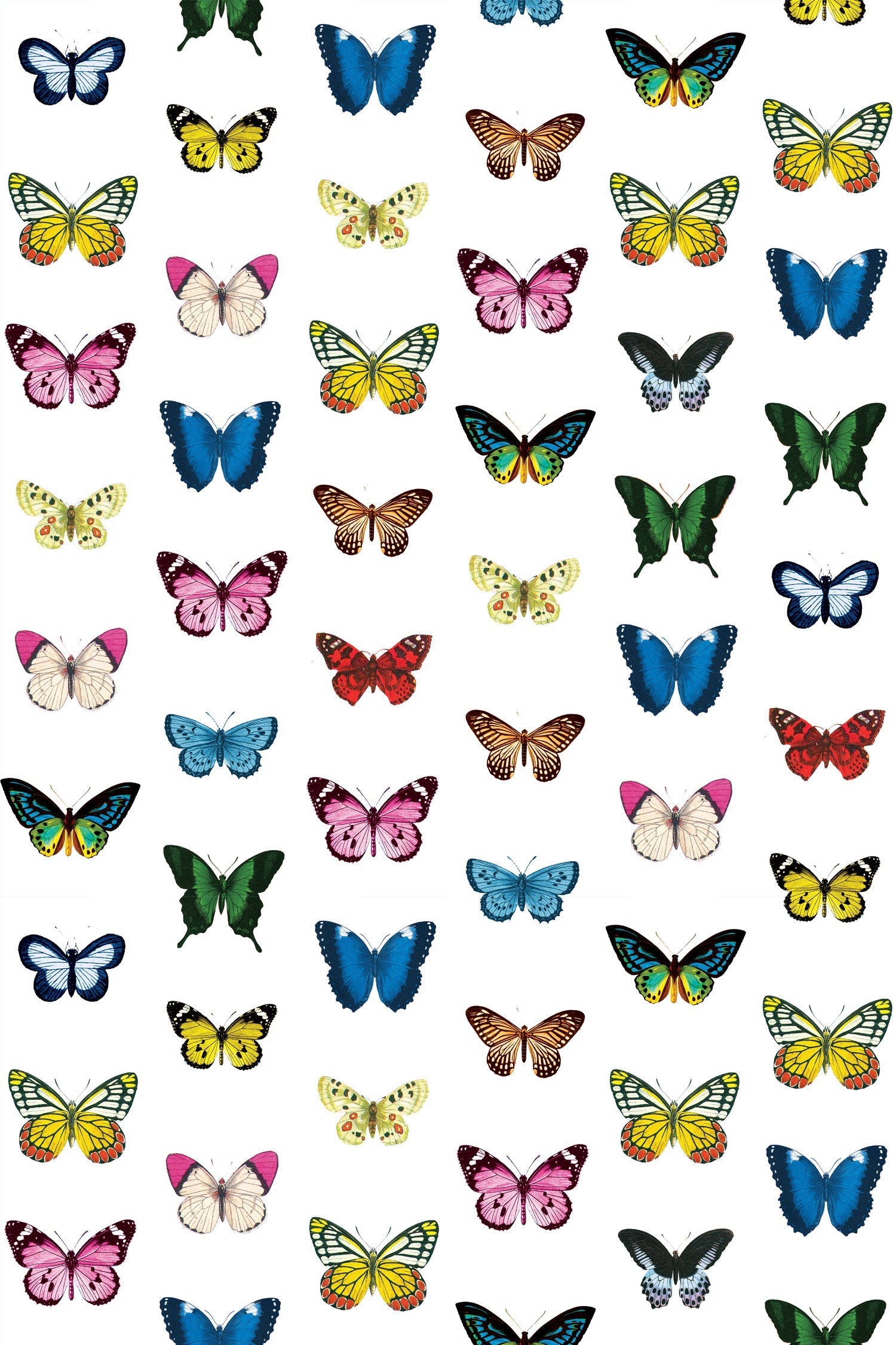 Mariposa Peel and Stick Wallpaper in Multi color - pattern number KK804_Multi_KH306 - by Katie Kime in the collection
