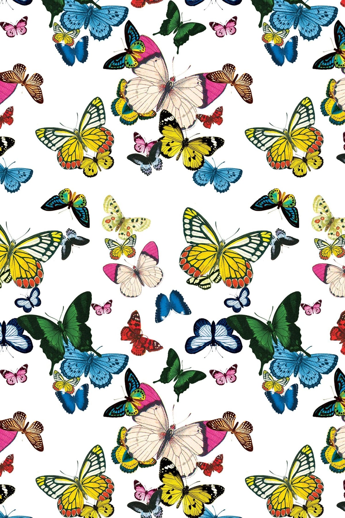 Metamorphosis Peel and Stick Wallpaper in White color - pattern number KK196_KH306 - by Katie Kime in the collection