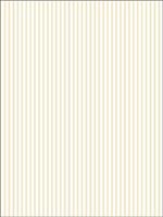 Stripes Wallpaper PR33820 by Norwall Wallpaper for sale at Wallpapers To Go