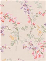Floral Wallpaper FF50800 by Seabrook Wallpaper for sale at Wallpapers To Go