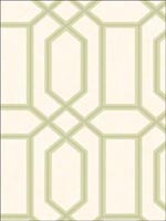 Greene Trellis Wallpaper AE30304 by Seabrook Wallpaper for sale at Wallpapers To Go