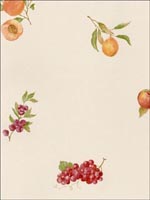 Fruit Wallpaper FK26907 by Norwall Wallpaper for sale at Wallpapers To Go