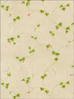 Ivy Wallpaper FK34435 by Norwall Wallpaper for sale at Wallpapers To Go
