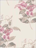 Madras Violet Pink Wallpaper 10012058 by Cole and Son Wallpaper for sale at Wallpapers To Go